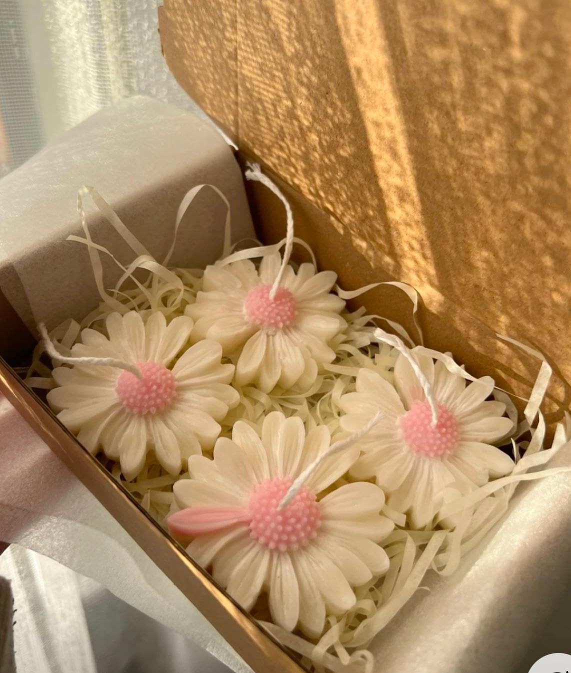 Decorative Floating Daisy Candles, Red and White, Set of 10, Scented