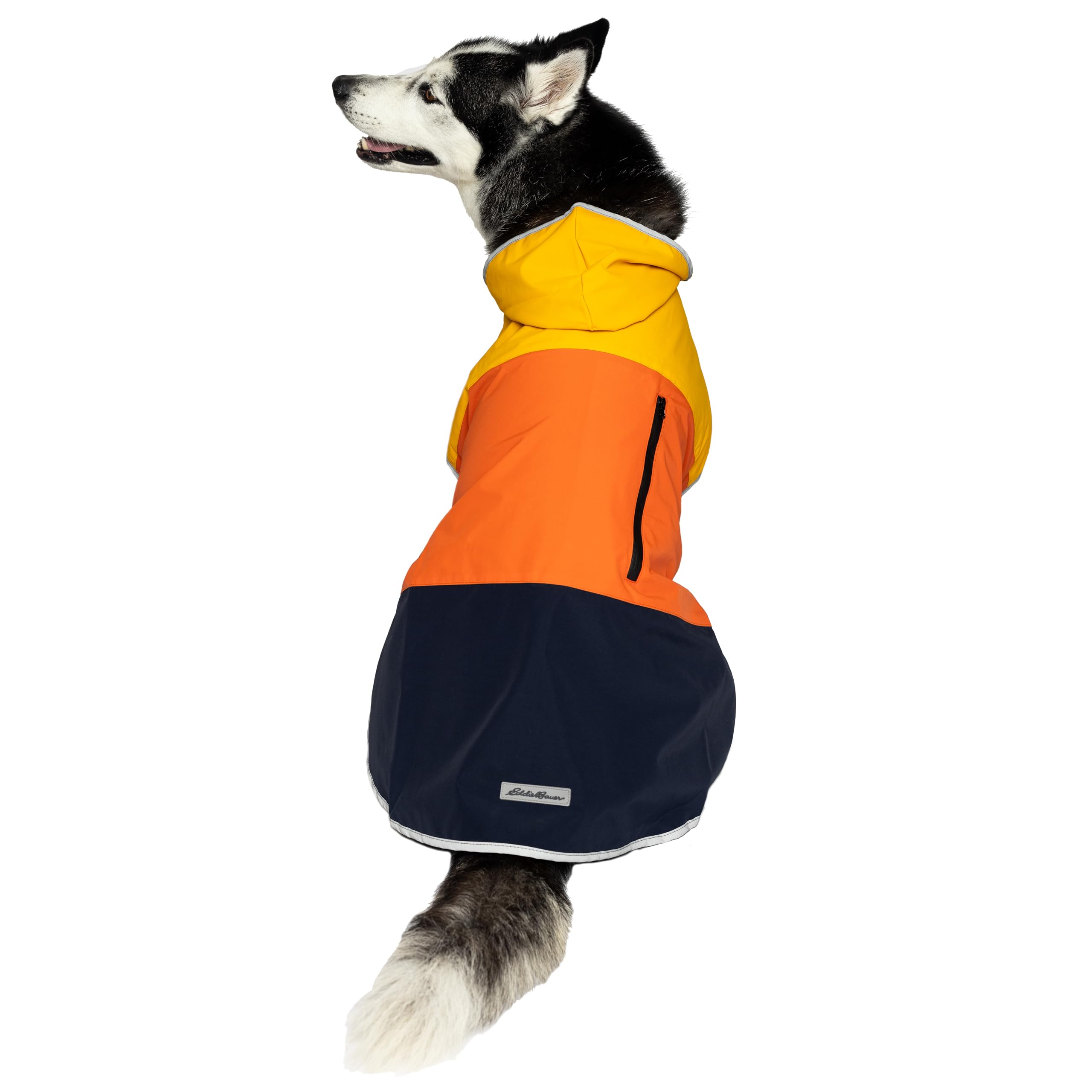 Amazon.com : Eddie Bauer E23210L Ravenna Colorblocked Dog