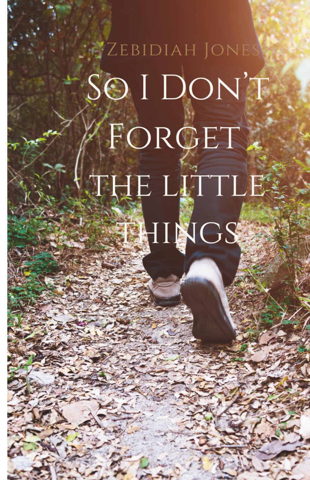 Zebidiah Jones: So I Don't Forget The Little Things (Zebidiah Jones: Becoming)