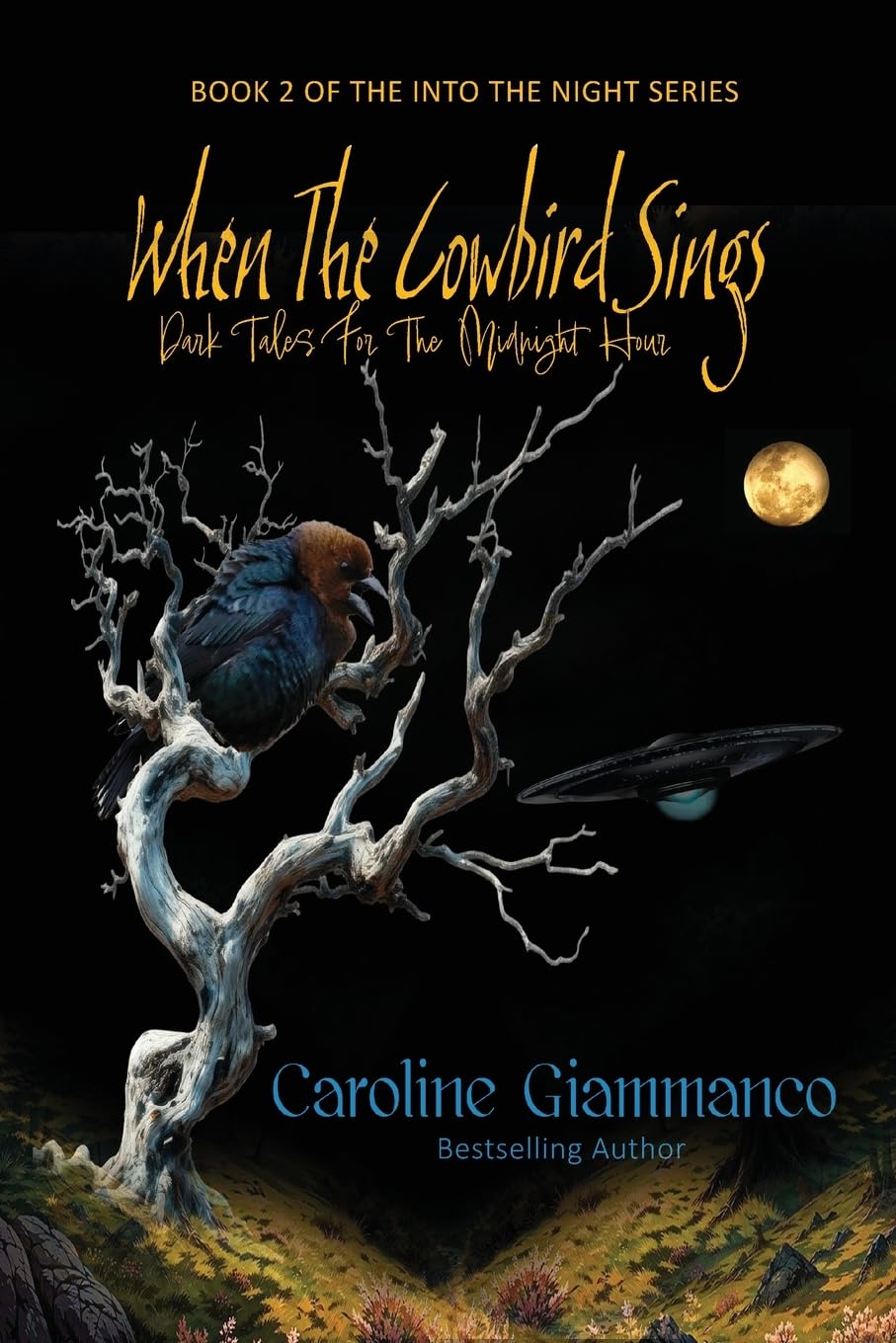 When The Cowbird Sings: Dark Tales for the Midnight Hour: 2 (Into the Night)