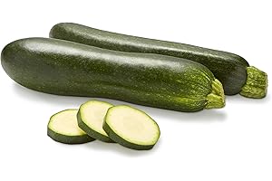Zucchini Squash | Organic, Farm-Delivered Goodness