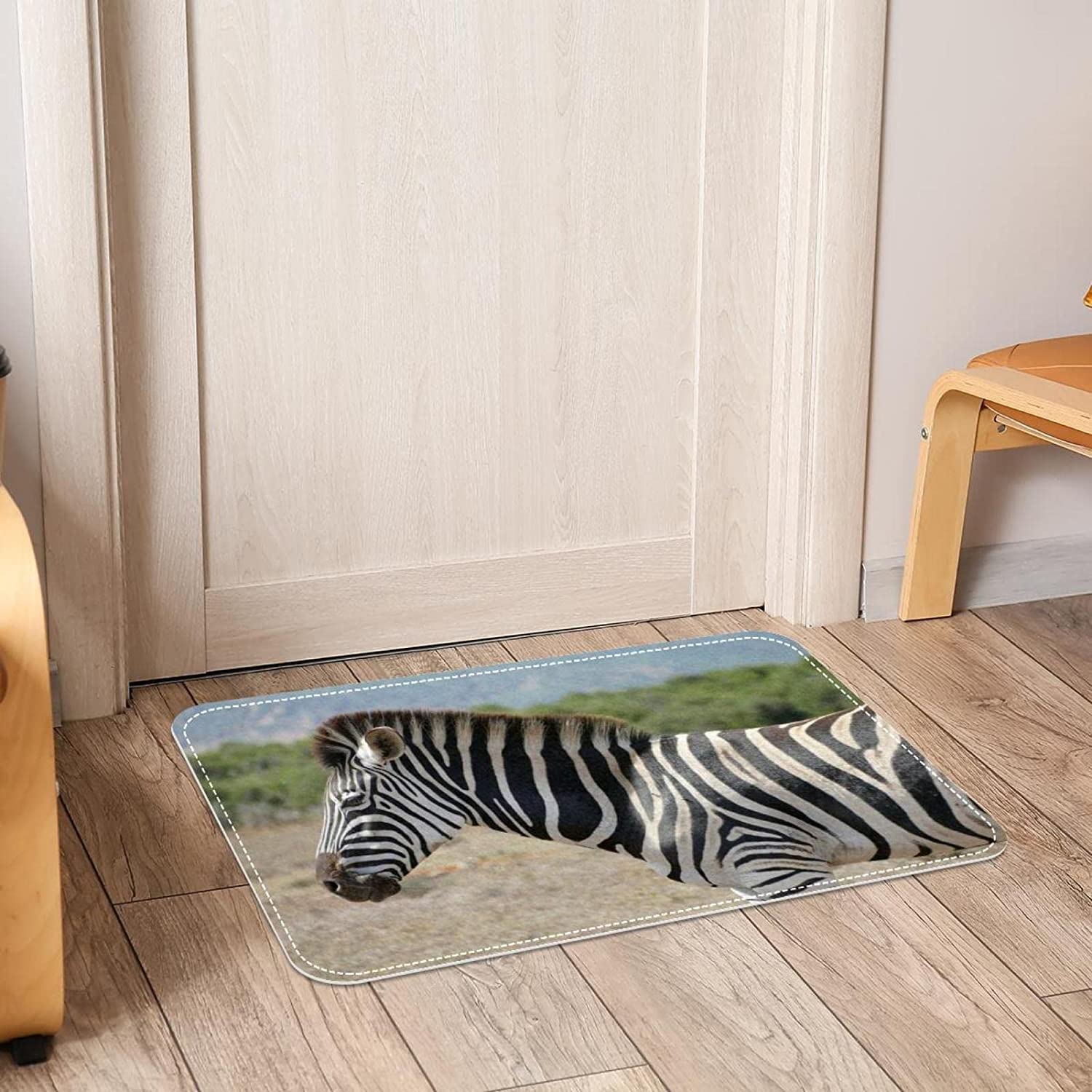 Zebra Bathroom Themes For Floor Design