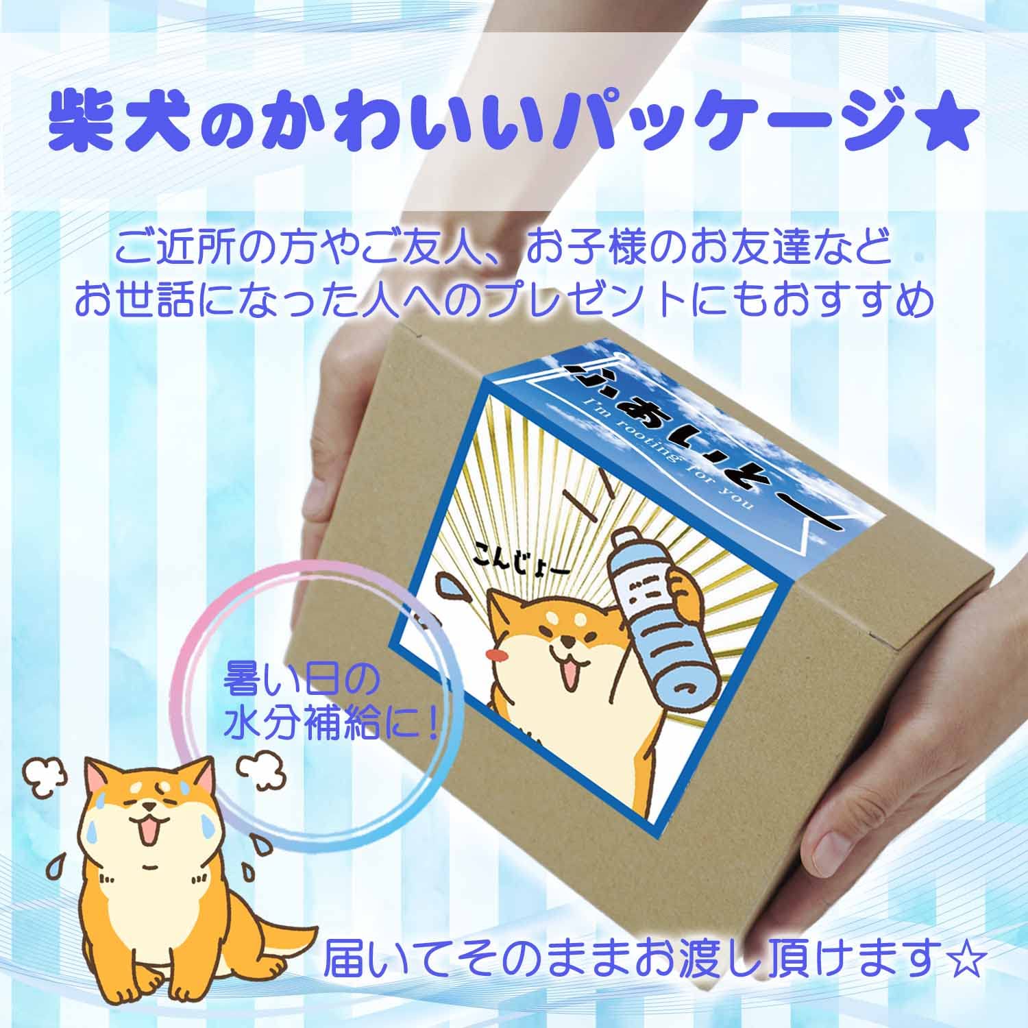 Amazon.co.jp: プチギフト.com ポカリスエット ポカリ 粉末 水分補給