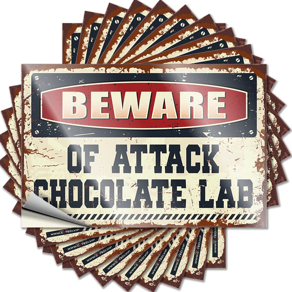 Tattoos Bedroom Door Decor Vinyl Sticker | Beware of Attack Chocolate Lab Feminist for Tiki Use(6X9CM)