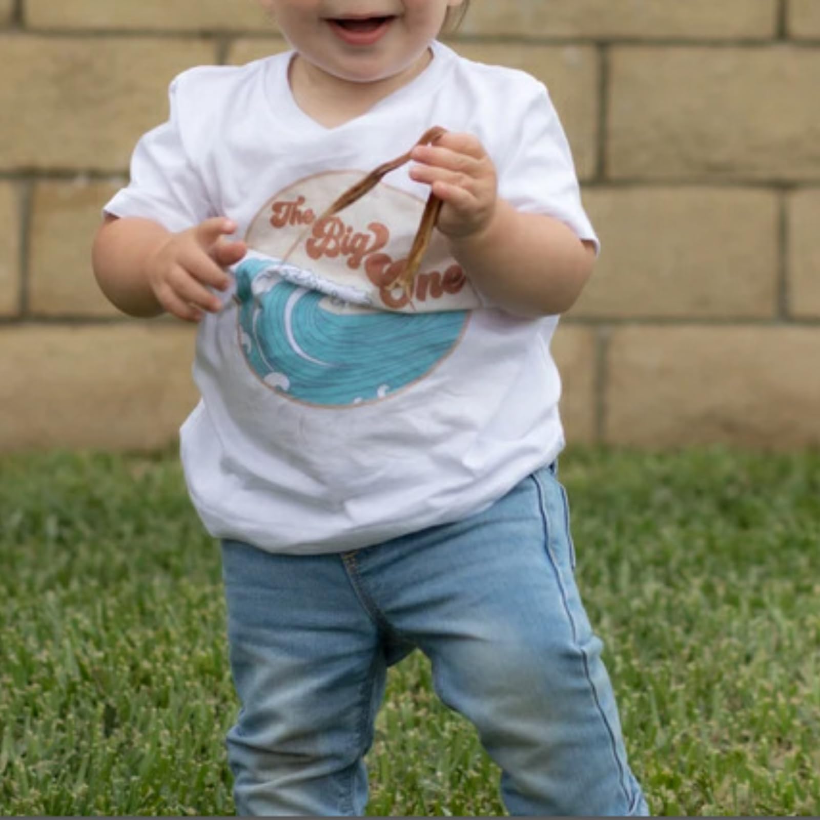 2Pcs Infant Baby Boy First Birthday Outfit Short Sleeve The Big One T-Shirt and Shorts Summer Surfer Birthday Outfit (Blue, 12-18 Months)