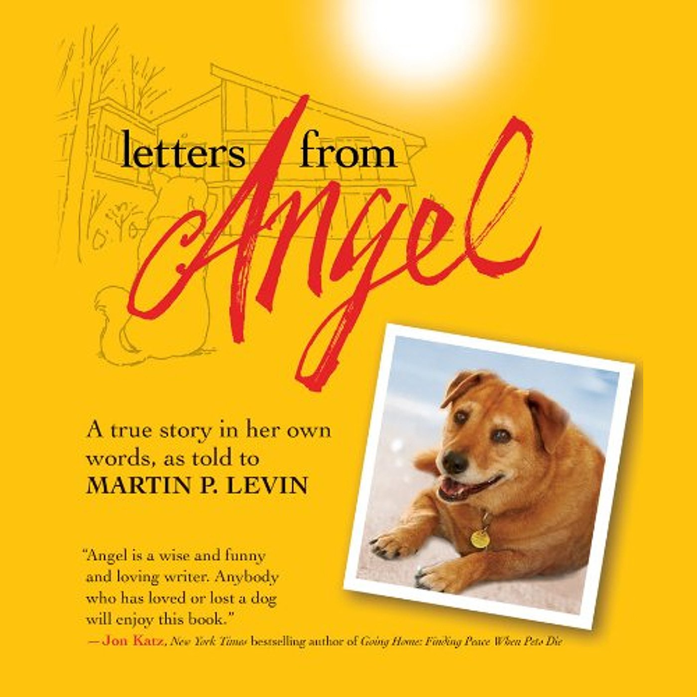 Cover art for Letters from Angel