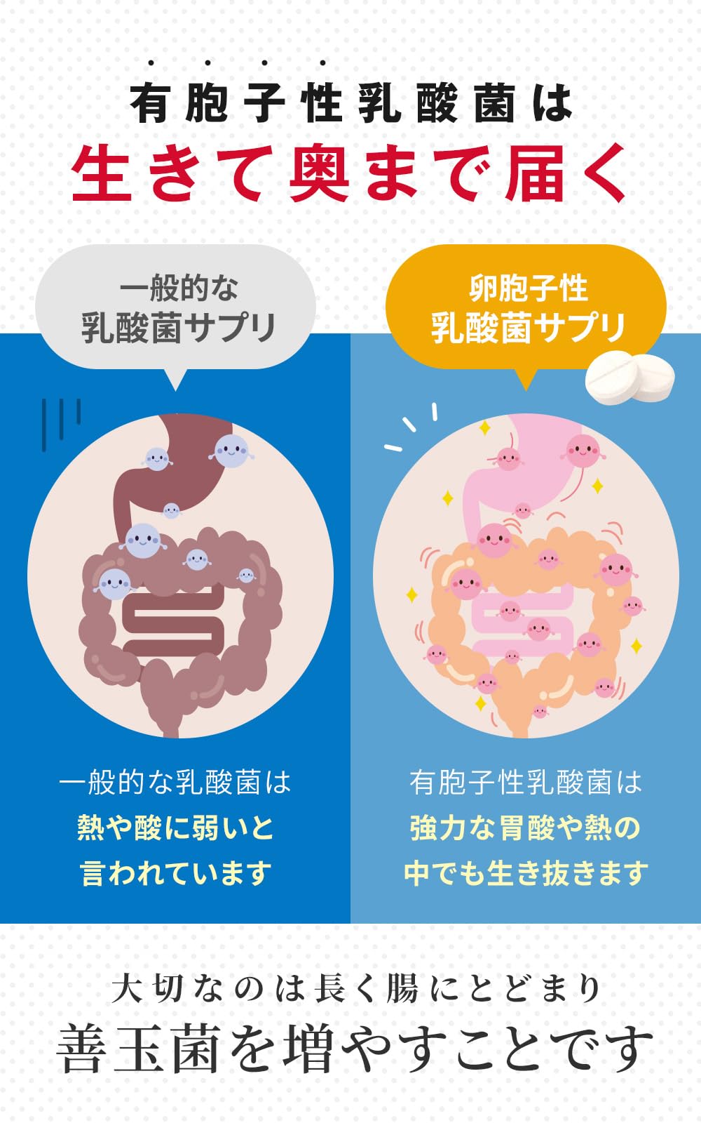 Amazon.co.jp: 【指定医薬部外品】ラクトロン錠 3袋(540錠/90日分