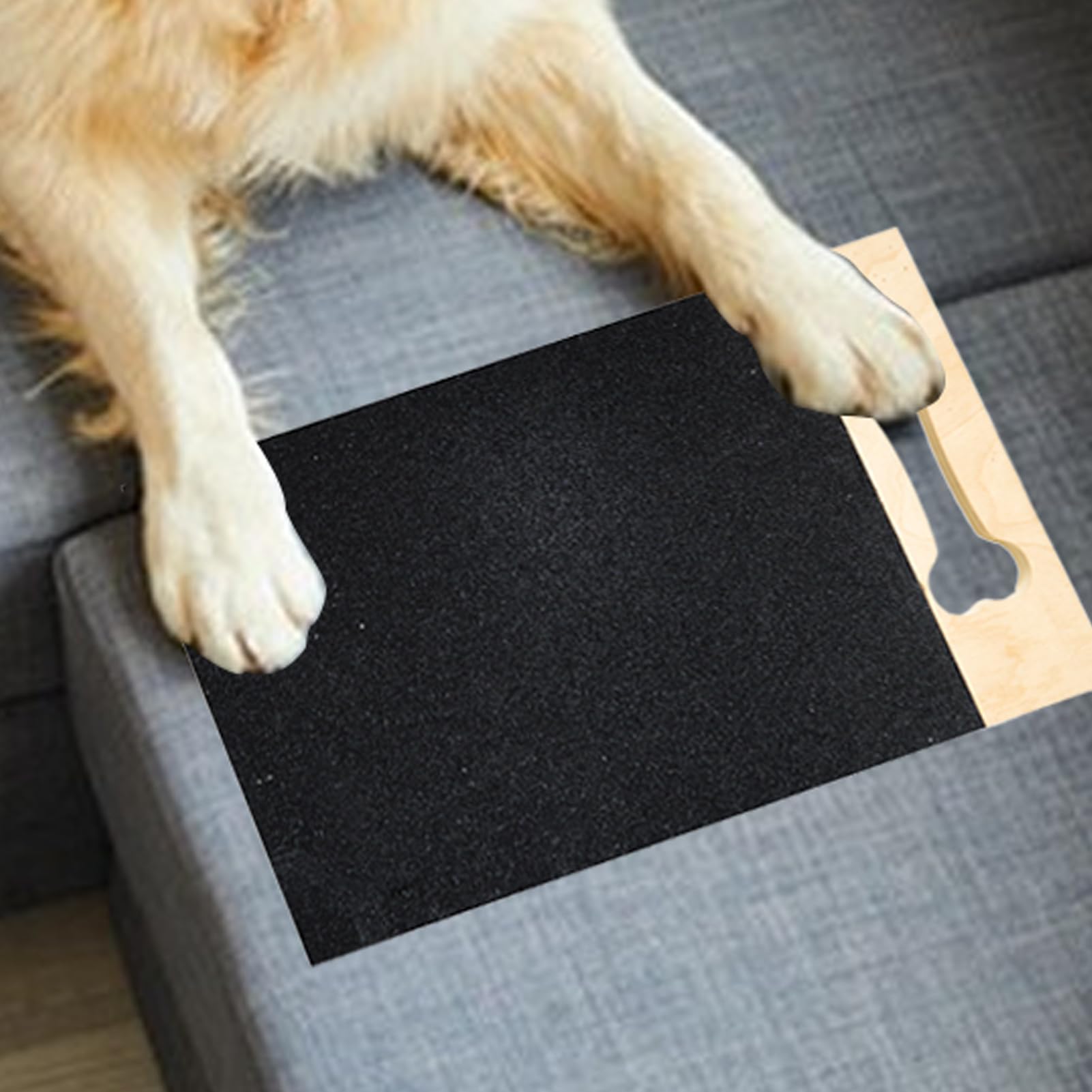 Planche À Ongles pour Chien sans Chute De Débris, Limage, Coupe Et Soin des