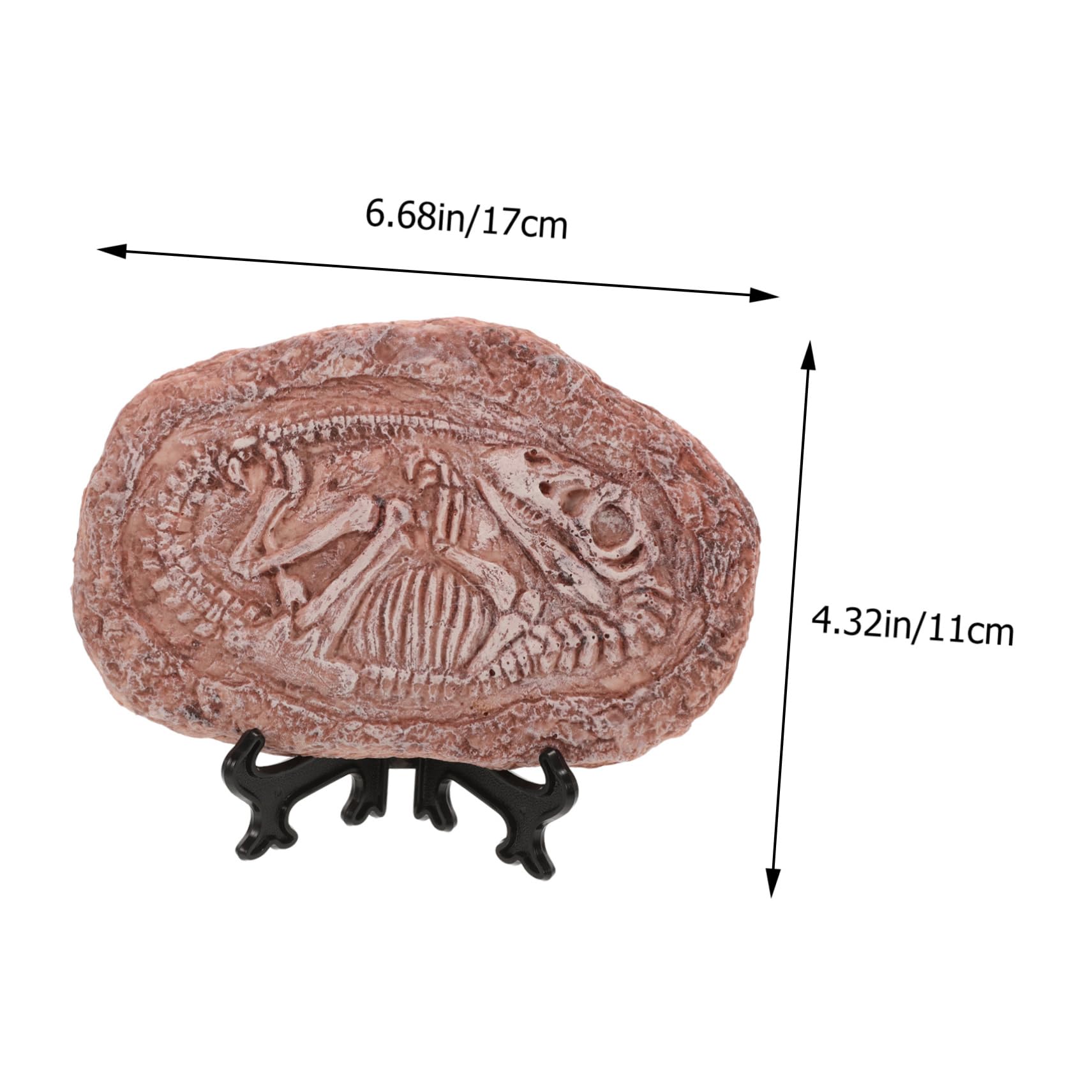 Happyyami Dinosaur Specimen Stone Resin Trilobite Fossil Paleontology Ornament Teaching Prop Sample Decor Reptile Tank Landscape