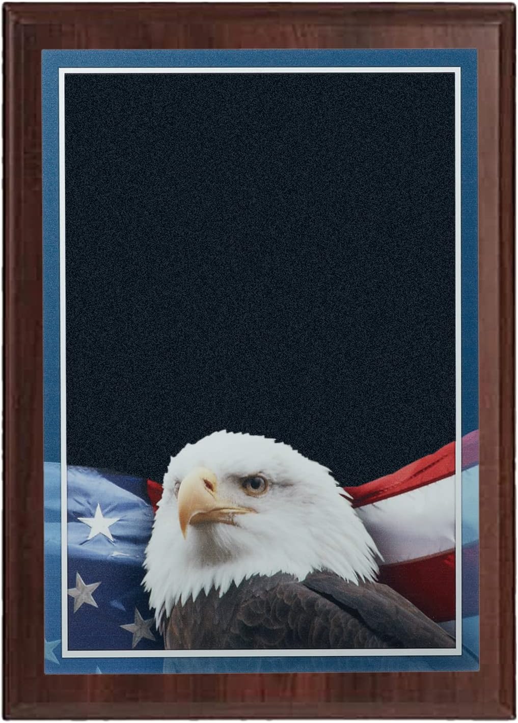 SHOP AWARDS AND GIFTS Customizable 9 x 12 Inch Walnut Plaque with Digital Eagle and American Flag Photo with Gold Plate, Can Be Personalized