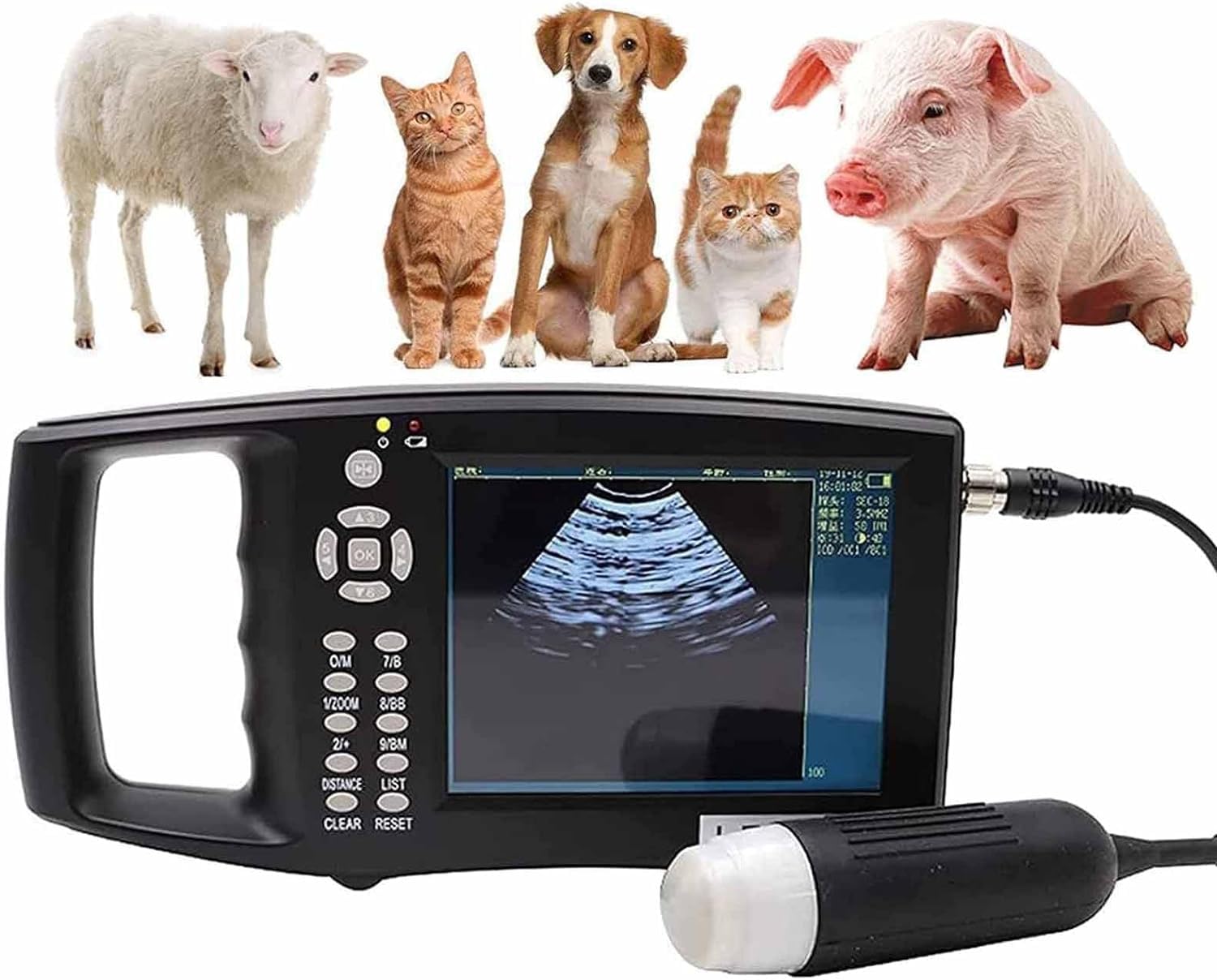 Asedvg Veterinary Ultrasound Scanner Kit, Ultrasound Scanner Veterinary Kit, Portable Hd Pregnancy Tests Machine,With Mechanical Probe For Pig And Sheep Pregnancy