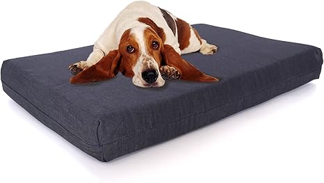 magnetic dog bed