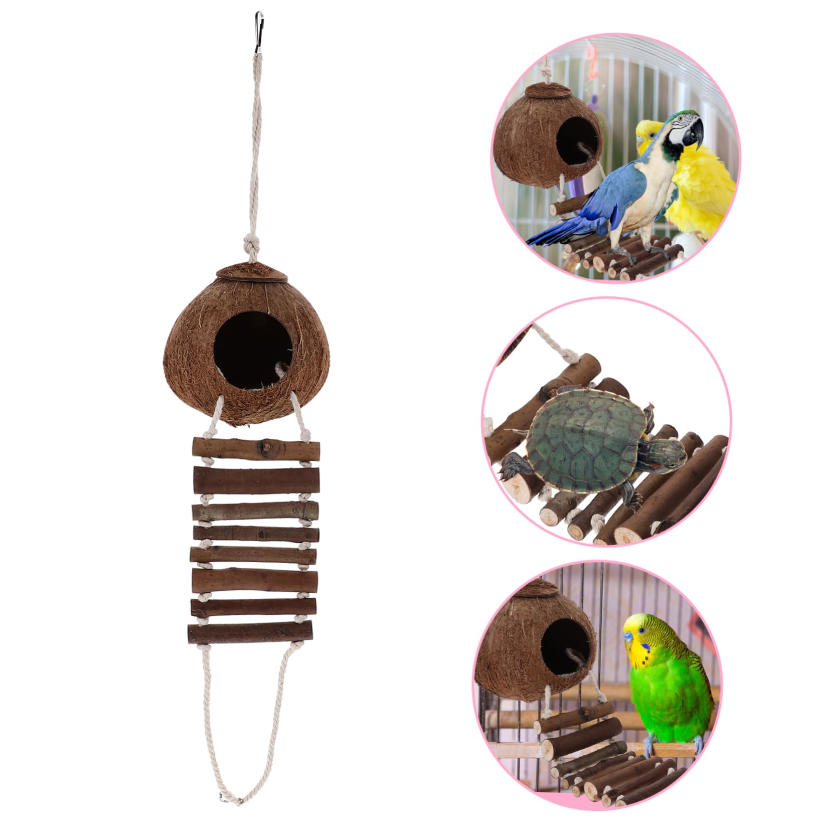 Toyvian Einsiedlerkrebs Versteckhaus mit Leiter Braunes Muschel Design Praktisches Terrarium Zubehör für Reptilien und Pet’s Habitat