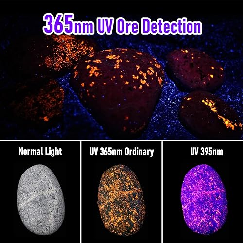 Miniatura 3 de ULTRAFIRE Linterna UV de 365 nm, luz negra USB-C de 10 W para detección de orina de mascotas, curado de resina, lámpara de caza de escorpiones y