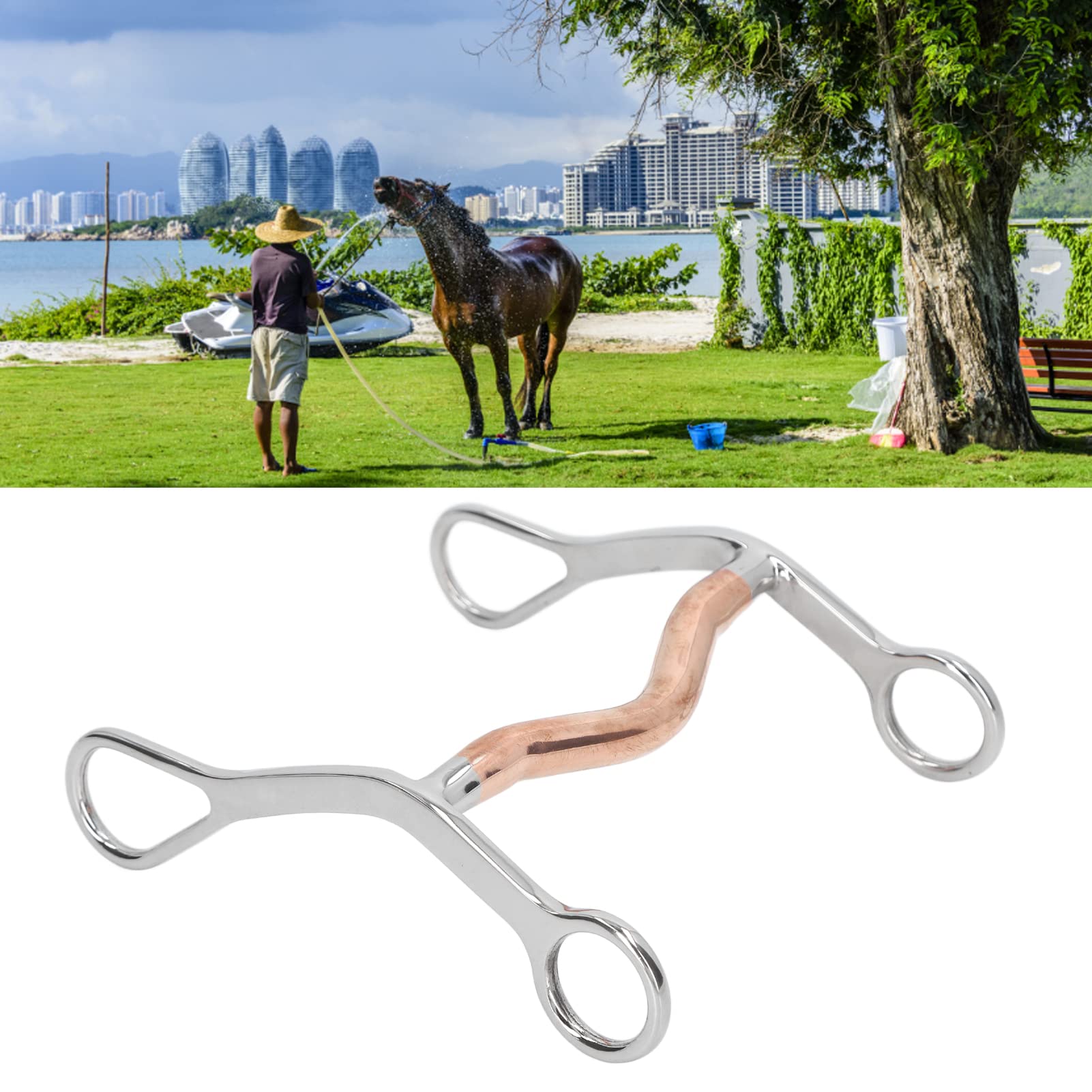Broca de Boca de Caballo, Broca de Boca de Acero Inoxidable, Rodillo de Boca de Masticar Articulado, Broca de Entrenamiento para Masticar Filete de Caballo para Granja