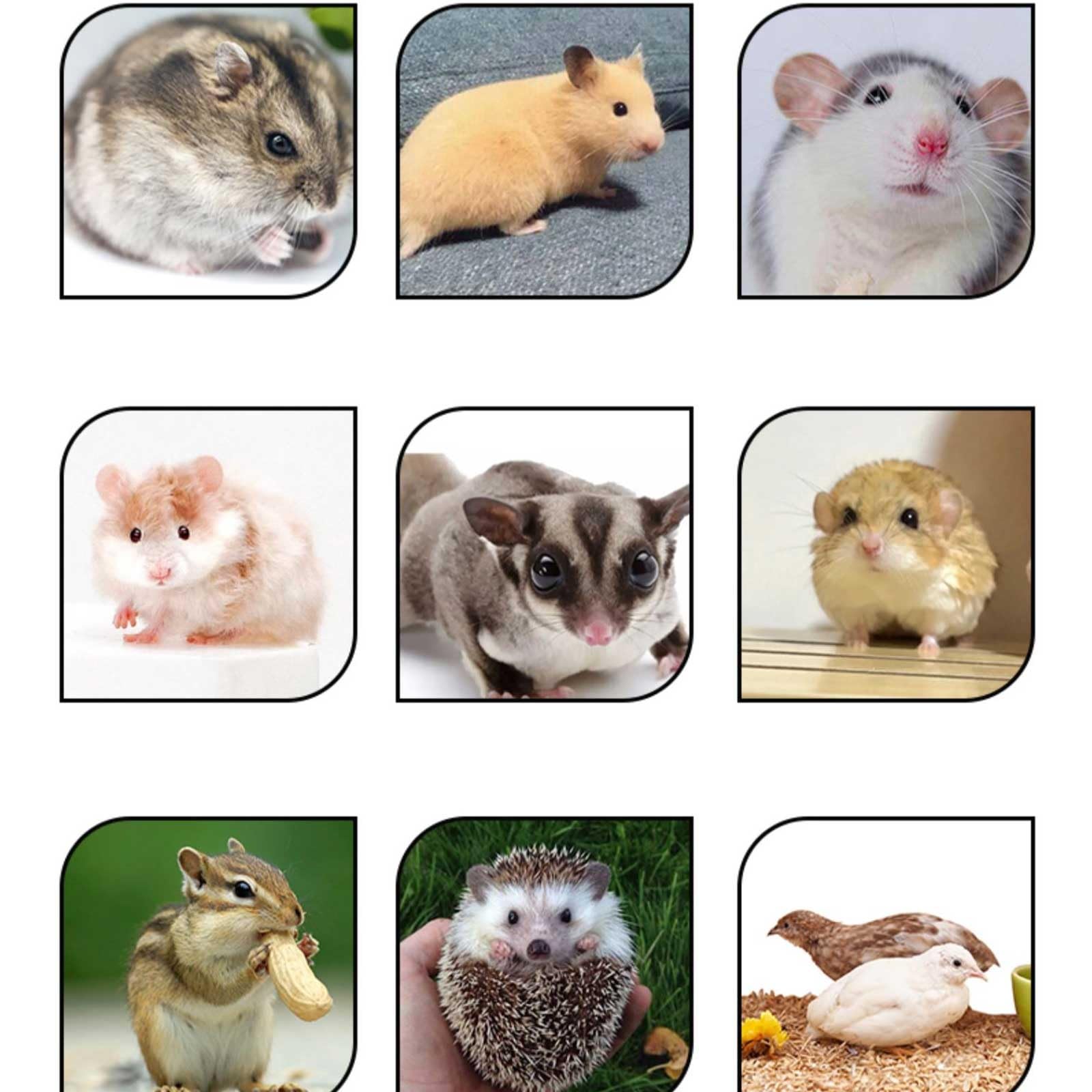 Gabbia per Criceti Domestici, Cage Hamster con Borraccia, Ruota per Esercizi, Ciotola per Cibo e Nascondiglio per Criceti, Gabbia per Ricci, Gabbia per Piccoli Animali(Blue)