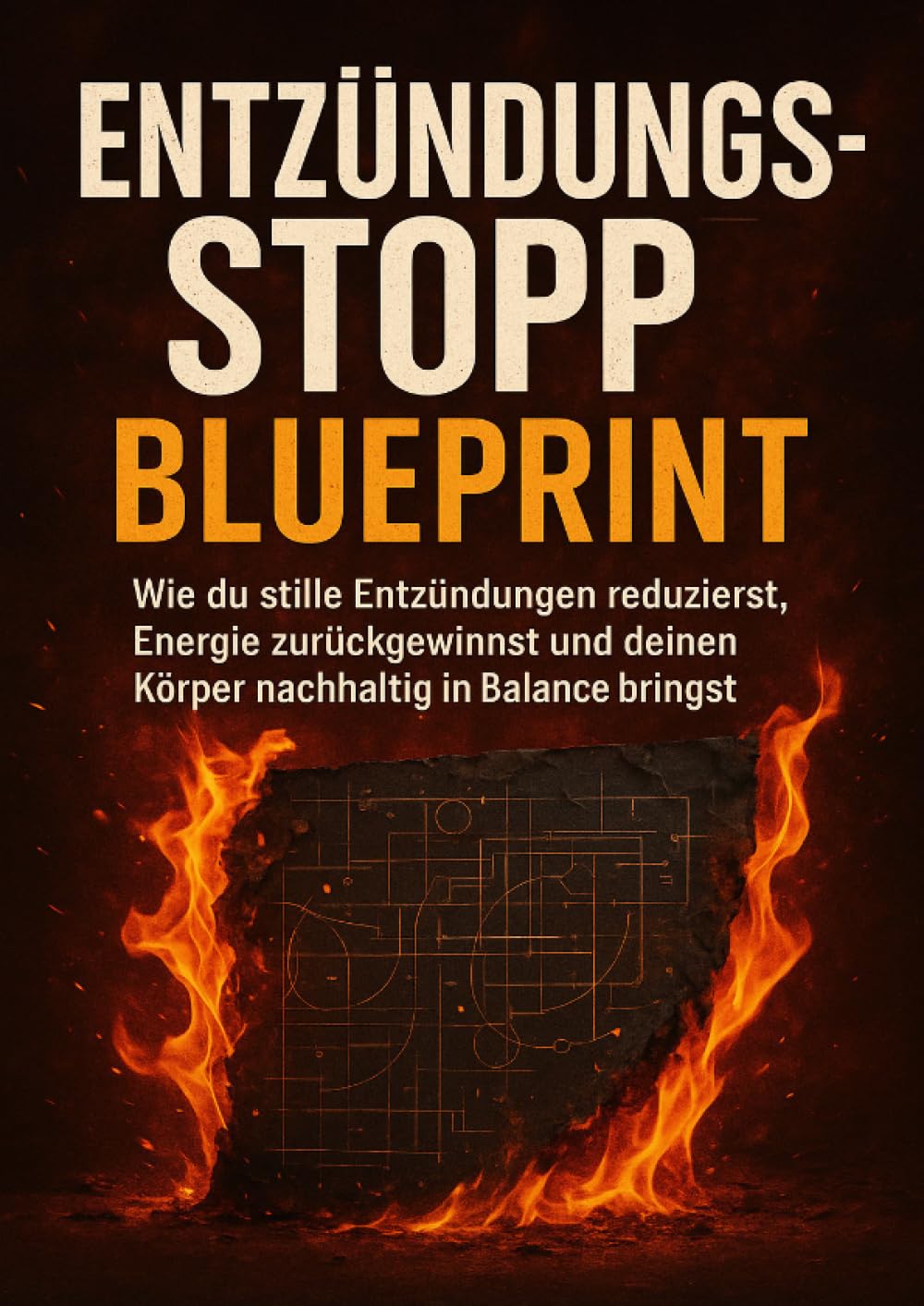 Entzündungsstopp Blueprint: Wie du stille Entzündungen reduzierst, Energie zurückgewinnst und deinen Körper nachhaltig in Balance bringst