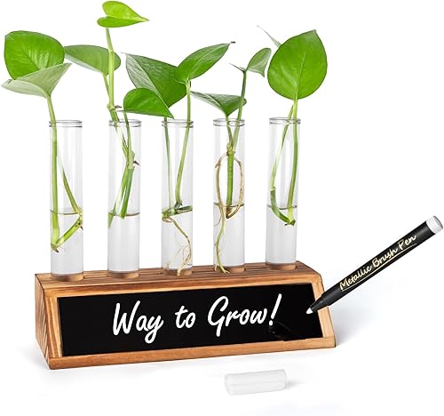 Miniatura 1 de Ceiner Estaciones de propagación de plantas para interiores, idea de regalo de inauguración de la casa para el hogar, soporte de terrario para