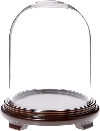 Plymor Cúpula de cristal de 8" x 10.25" (base con patas de chapa de madera de nogal)
