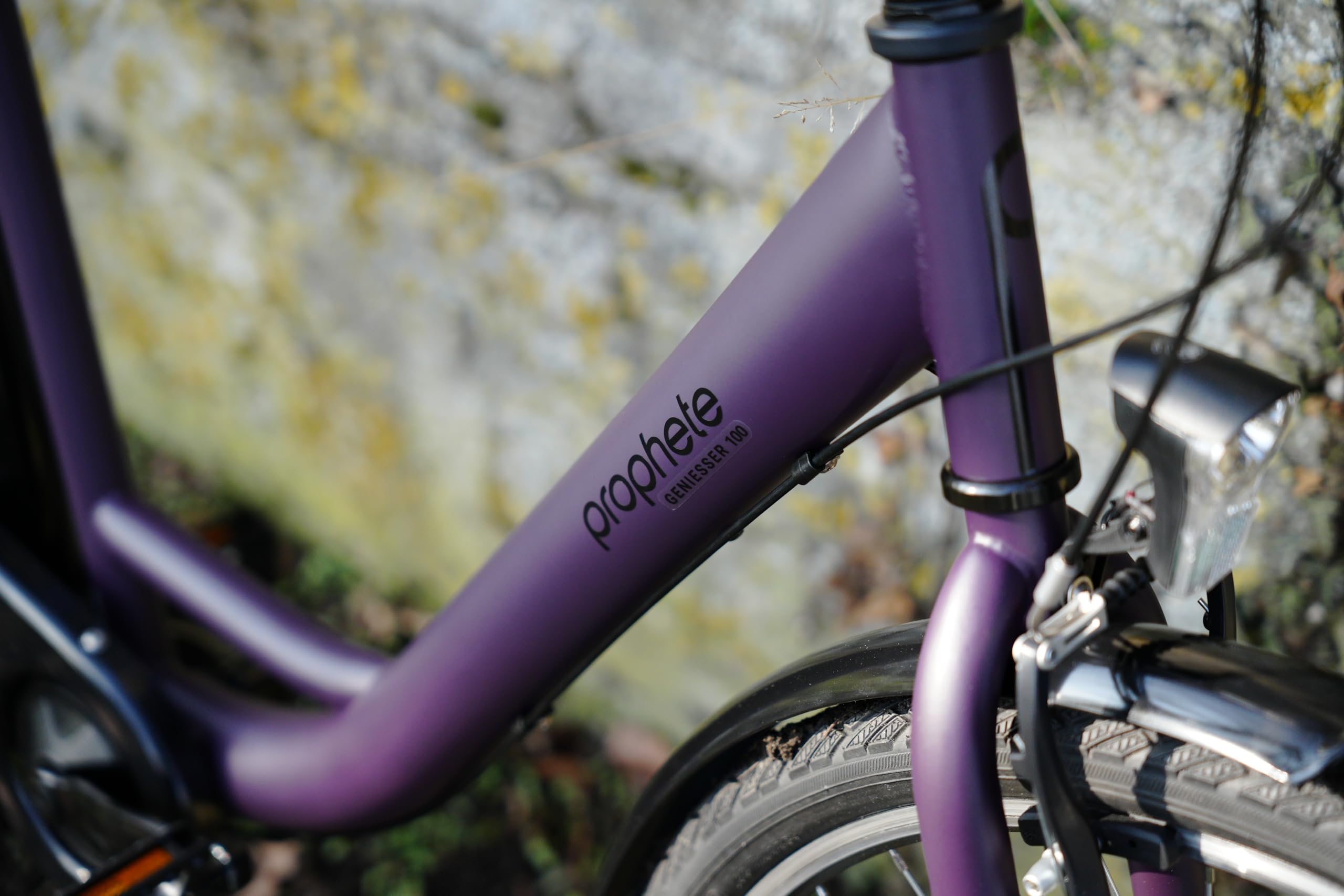 Prophete GENIESSER 100 28 Zoll Citybike Damen mit 3 Gang Nabenschaltung LED Beleuchtung Rücktrittbremse und V Bremse RH 46 cm Dark Purple matt