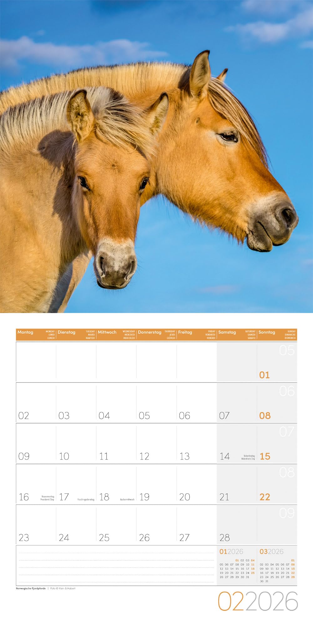 Pferde Broschürenkalender 2026 - 30x30 - Art12: Bildstarker Tier-Kalender im schlanken Hochformat (aufgeklappt 30x60 cm) | mit Eintrage-Kalendarium