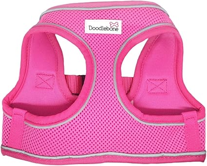 doodlebone snappy harness