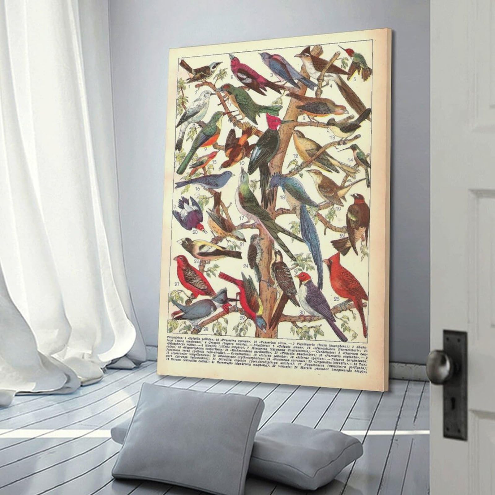 HNPBB Vintage-Tier-Poster, Vogelführer-Poster, dekorative Malerei, Leinwand, Wandposter und Kunstdruck, moderne Familienschlafzimmer-Dekoration, Poster, 50 x 75 cm