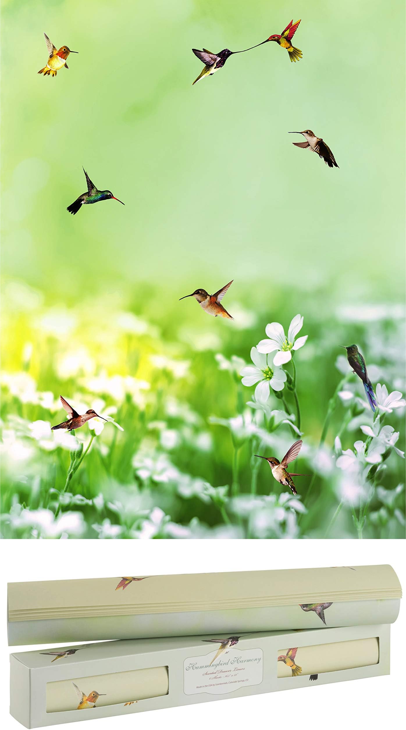 Scentennials Scented Drawer and Shelf Liners - Hummingbirds Print - Six (6) Large 16.5 x 22 Inch Non-Adhesive Sheets - Perfect for Closet Shelves and Dresser Drawers (Hummingbird Harmony)
