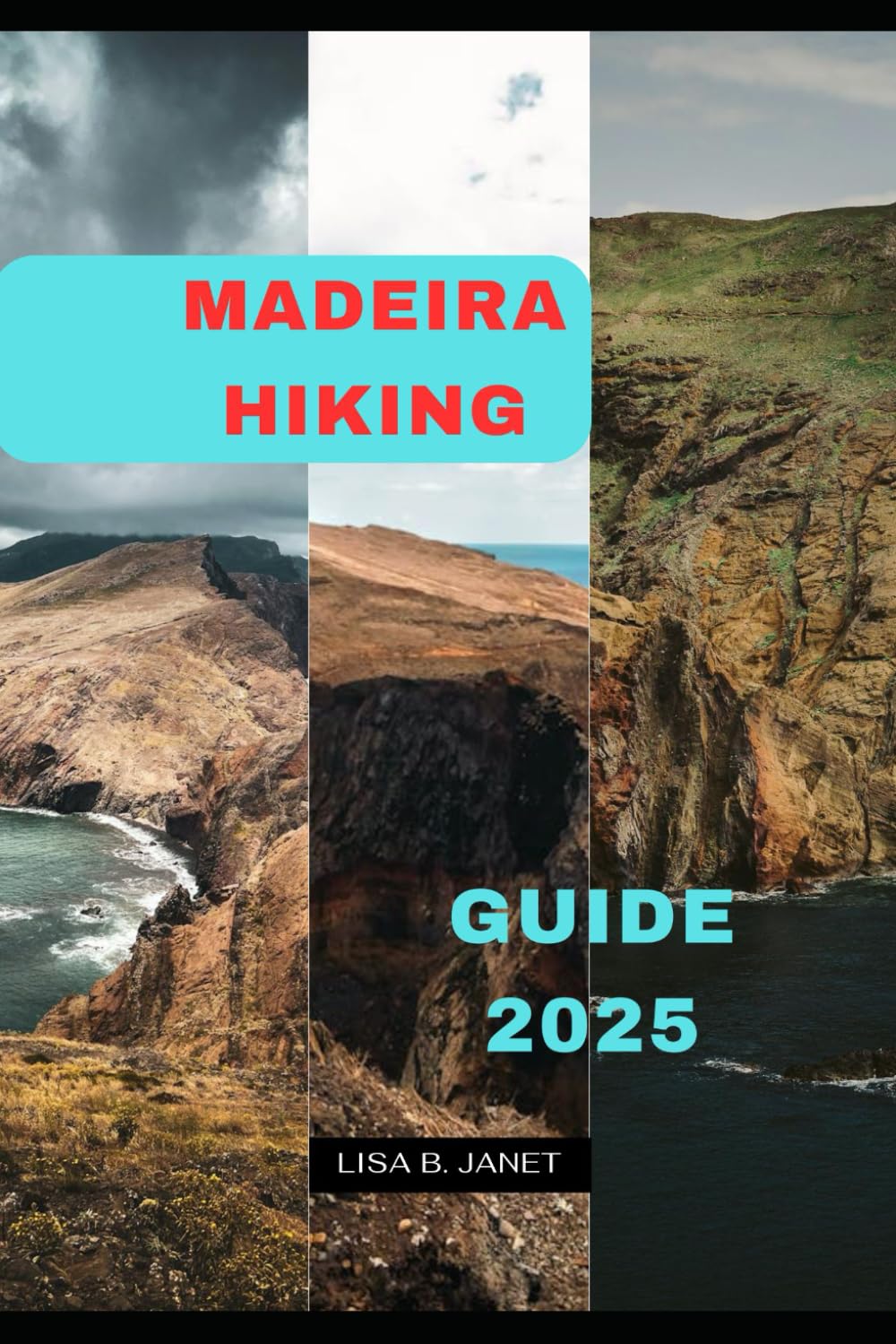 MADEIRA HIKING GUIDE 2025: 108 (Wanderlust 2024: Uncovering Hidden Gems)