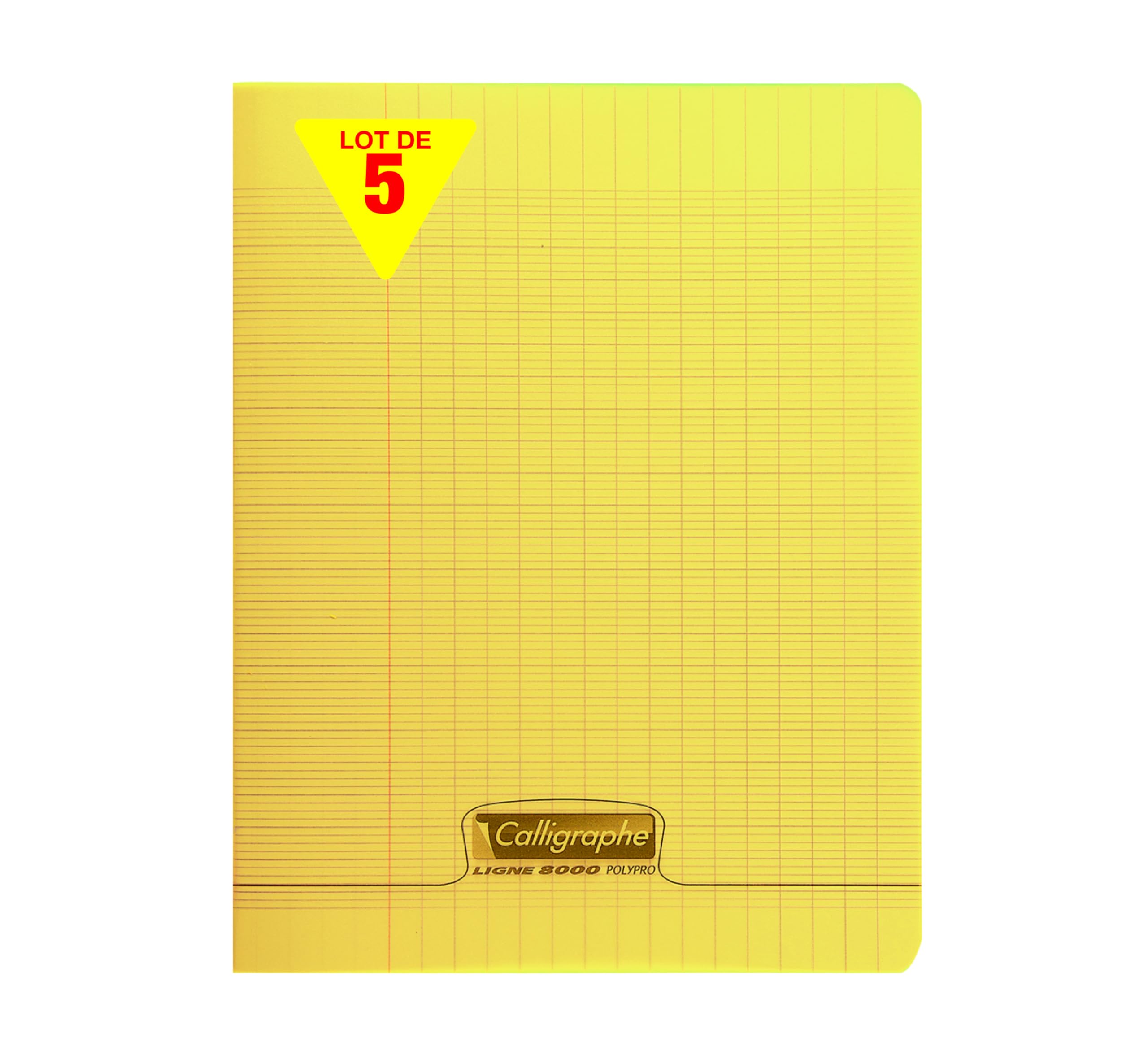 Calligraphe 18292Cpack - Lot 5 Cahiers Bleus 24x32cm 140p GC Polypro