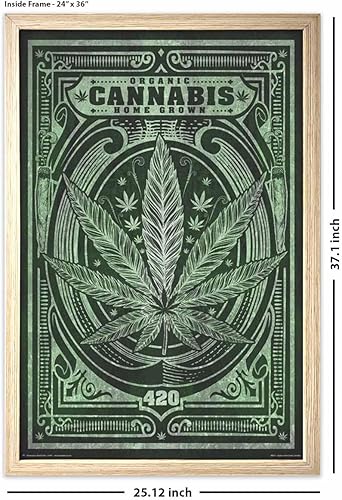 Vista 14 de Póster de cannabis orgánico cultivado en casa, 24 x 36 pulgadas
