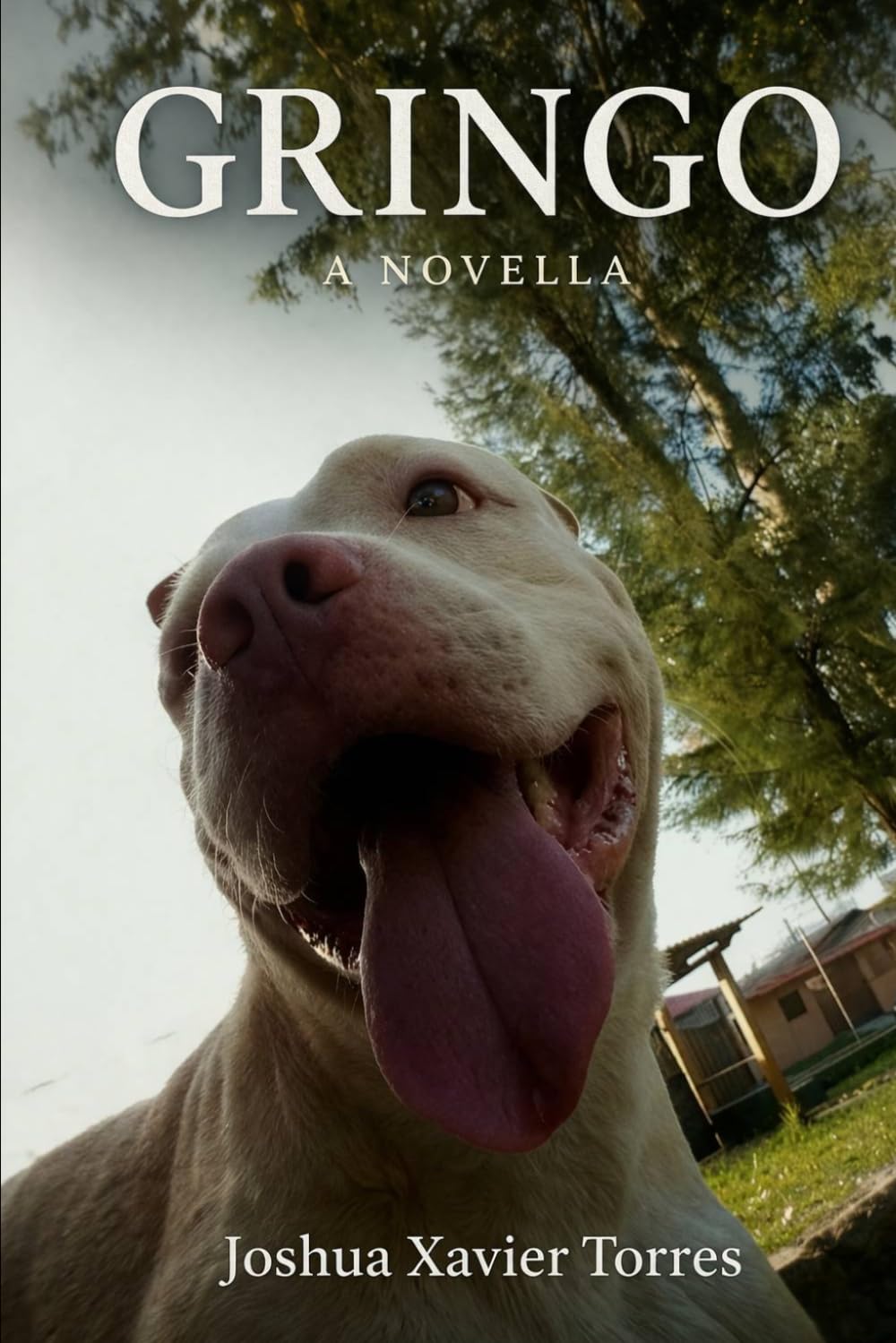 Gringo's Journey to Freedom: A Story of Survival, Loyalty, and Redemption in Honduras