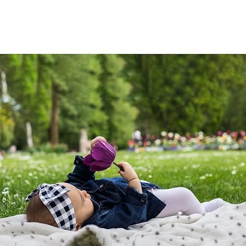 Miniatura 4 de LeerKing Paquete de 2 mantas ultrasuaves para bebé, cómodas mantas de felpa de vellón coral para niños pequeños, regalos para recién nacidos, 30 x