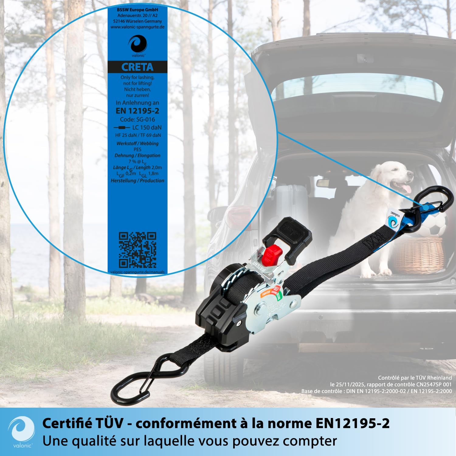 valonic Creta, Mini Sangle a cliquet 2 m, pour Coffre et remorque, Lot de 4, 150 kg Force d'arrimage, 19 mm, Sangles, pour Auto et Transport, pour Trajet Quotidien