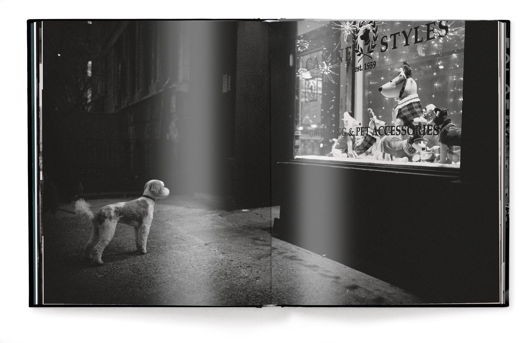 New York Street Diaries (Edizione Inglese)