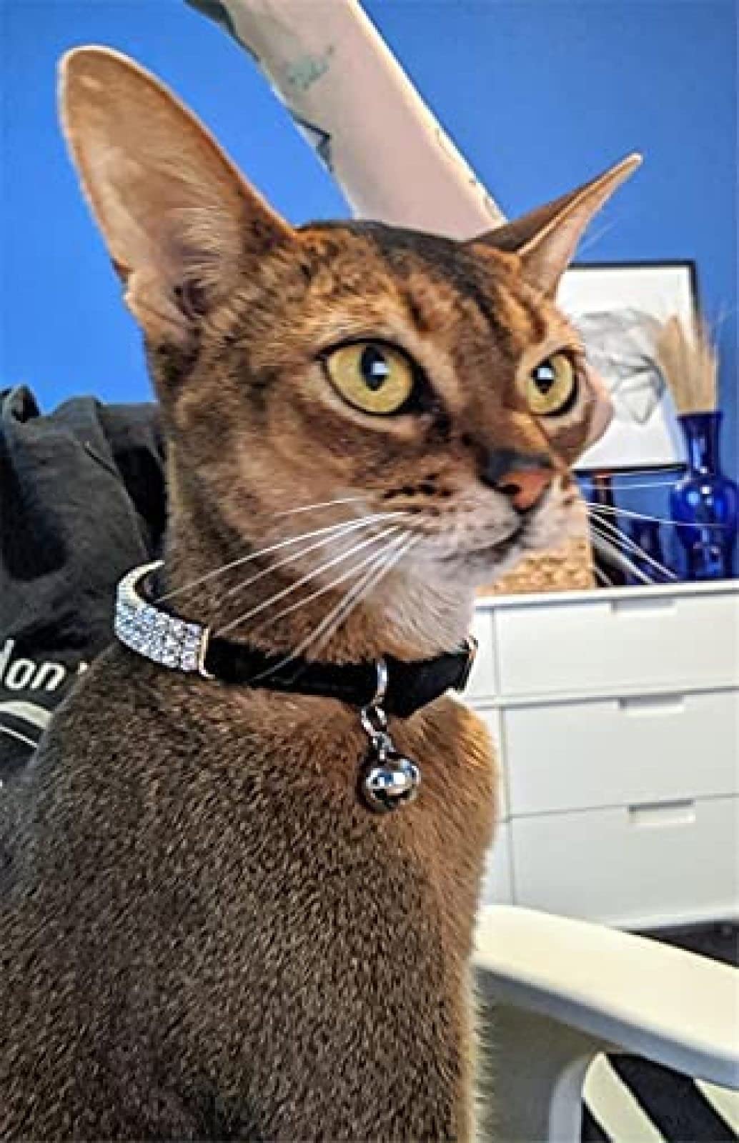 Collar De Cuero PU con Diamantes De Imitación para Gatos, Cómodo, Ajustable, De Terciopelo Suave, Acolchado, para Cachorros Y Gatitos, para Perros Pequeños,Constructive23