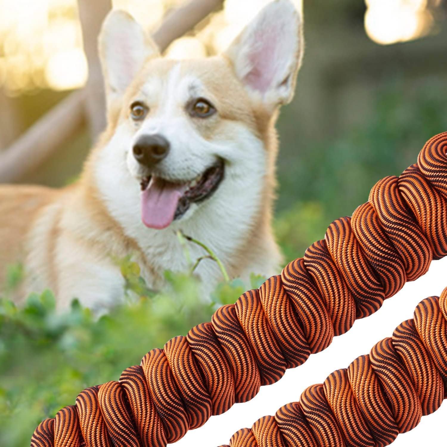 Tie-Out Check Cord Long Dog Leash, 16FT/30FT/50FT Recall Dog Training Rope Leash, Heavy Duty Dog Lead for Large Medium Small Dogs Playing, Camping, or Backyard