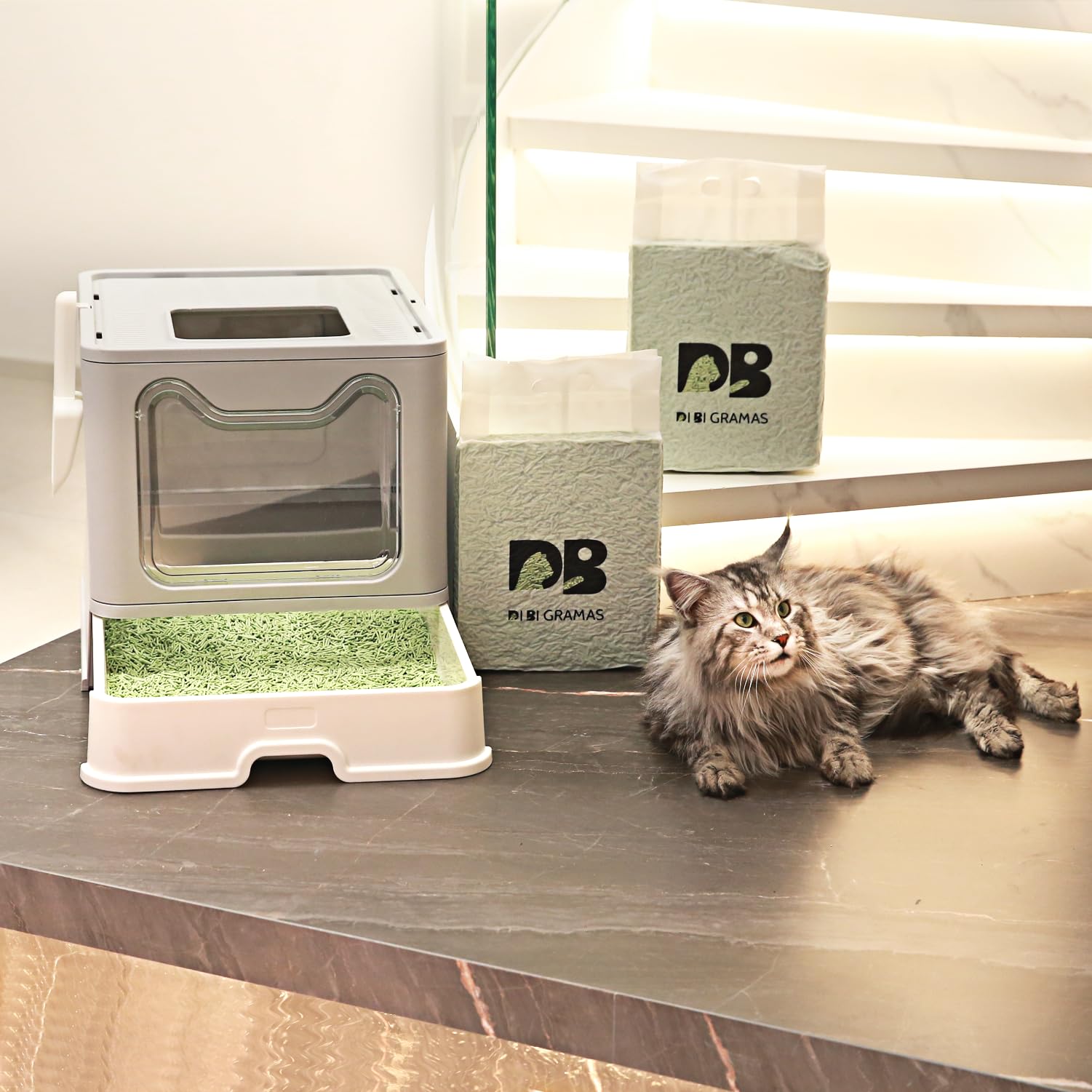 Arena para gatos de 12 libras/2 paquetes de arena para gatos de tofu sin polvo que absorbe rápidamente los olores, el inodoro puede enjuagarse en el inodoro, arena para gatos de tofu