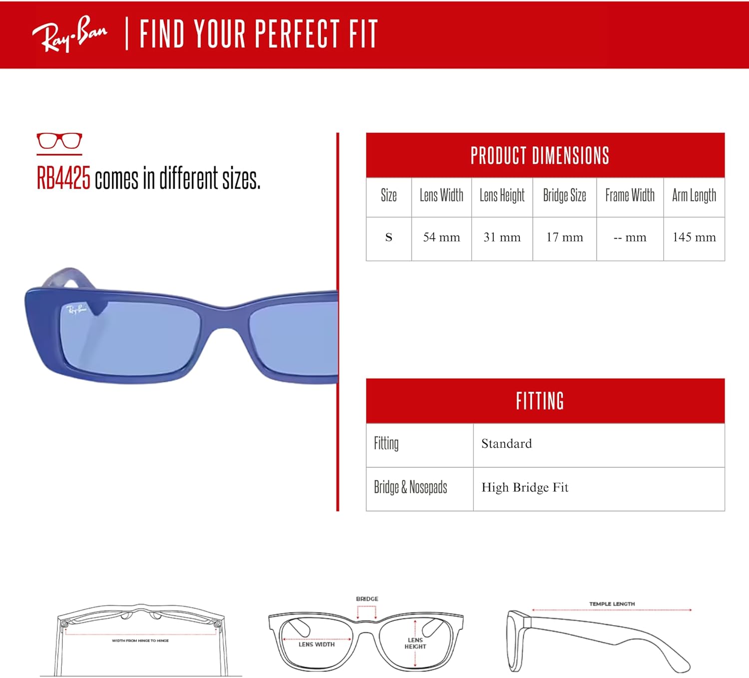 Ray-Ban Teru RB4425 54MM Rectangle Sunglasses for Men for Women +BUNDLE with ACCESSORY EYEWEAR KIT