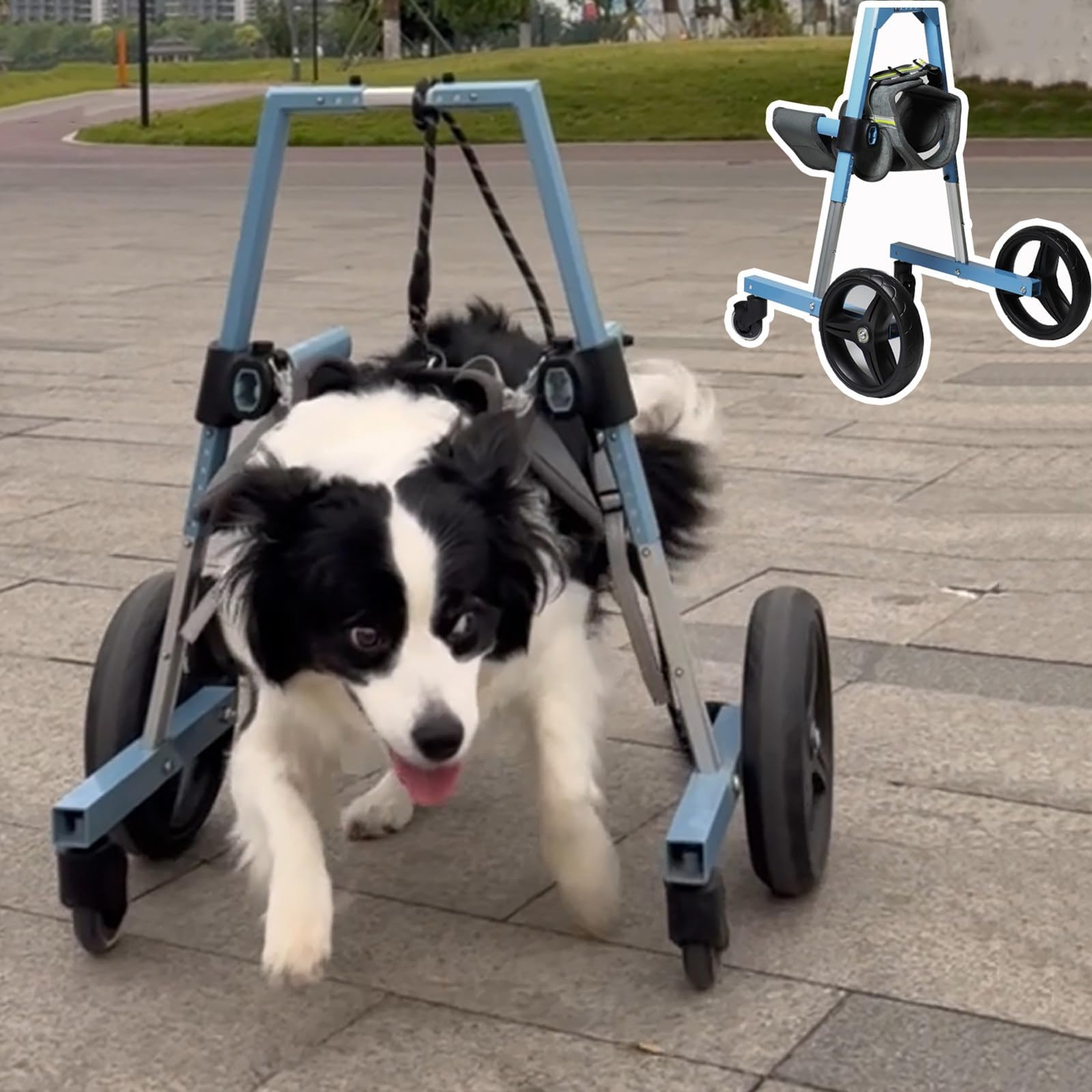 Dog Front Leg Wheelchair, Adjustable Dog Wheelchair With 4 Wheels, Mobility Aid For Disabled Pets, Wheelchair For Small Dogs With Front/Rear Leg Disabilities XXL