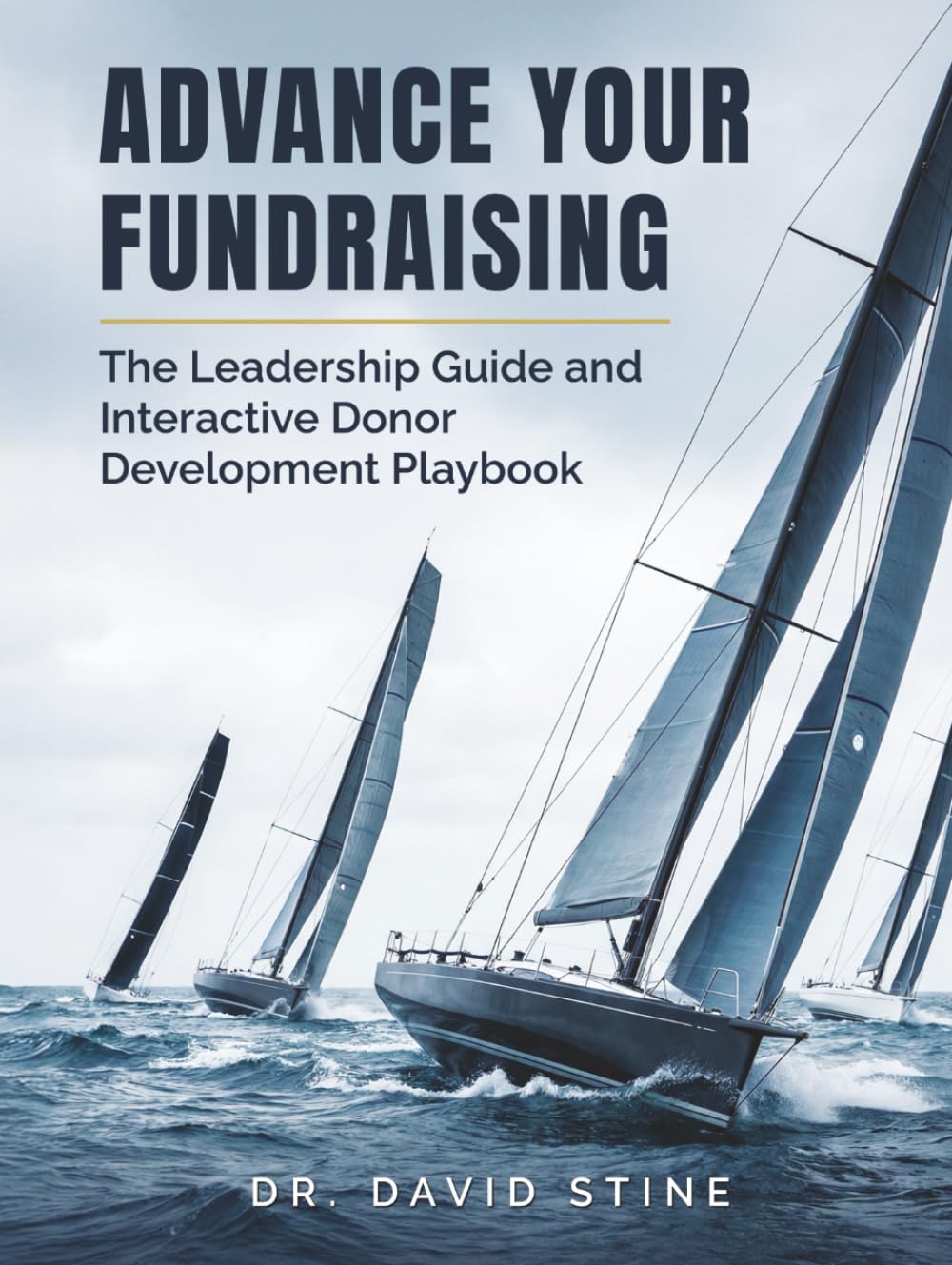 Advance Your Fundraising: The Leadership Guide and Interactive Donor Development Playbook