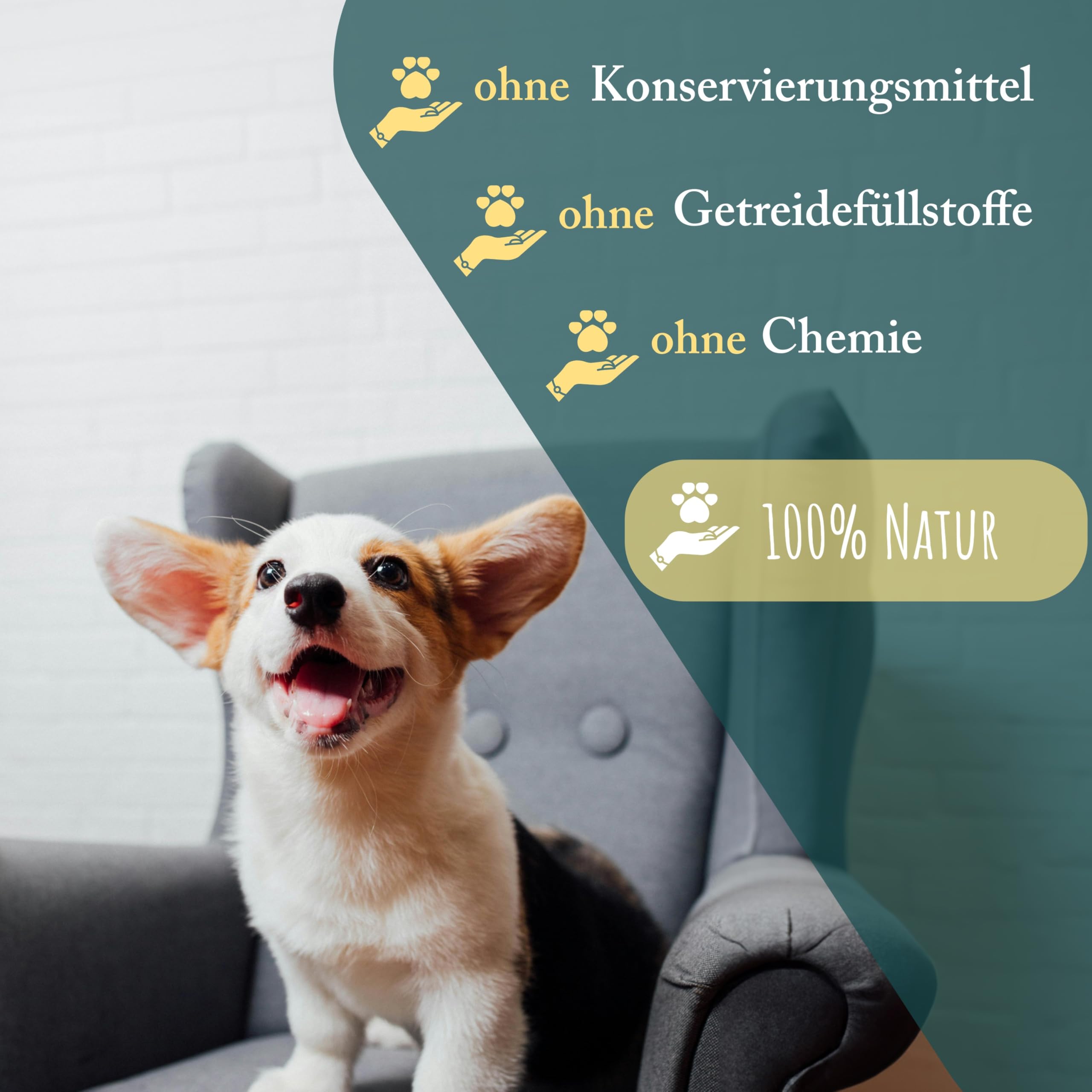 Getrocknete Kaninchenohren mit Fell, 10kg, Hasenohren für Hunde, 100% natürliches Leckerli, Barf Hundesnacks, Kauartikel Hund, Rabbit Ears von Wuffsnacks
