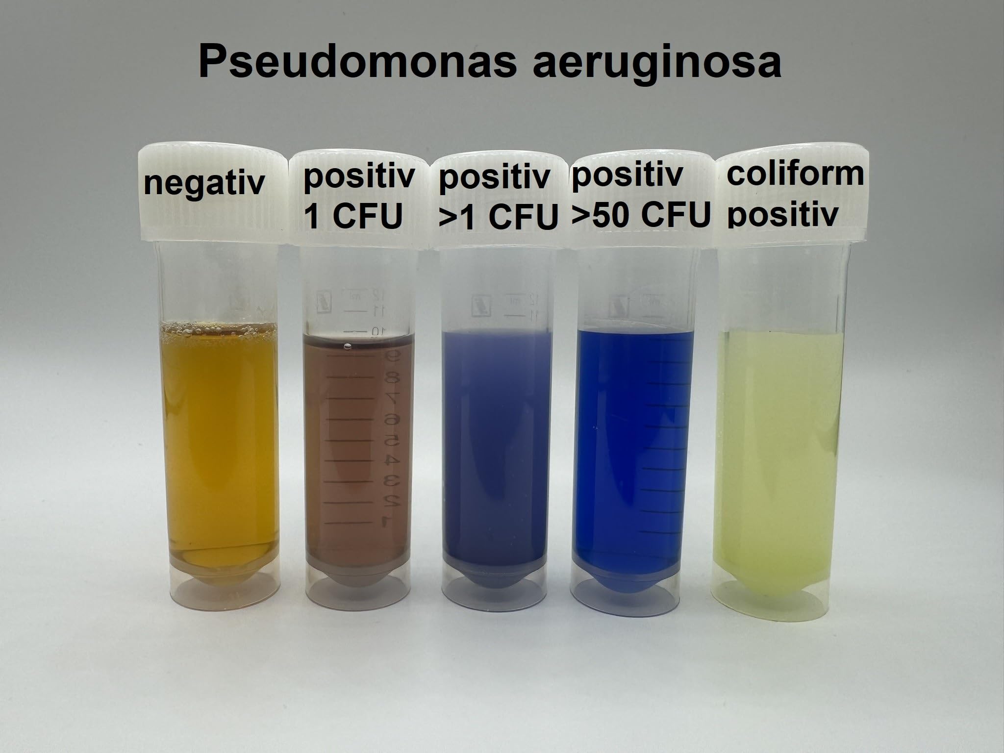 Prueba de bacterias de agua para Pseudomonas aeruginosa Prueba de bacterias en agua potable y agua de pozo (5)