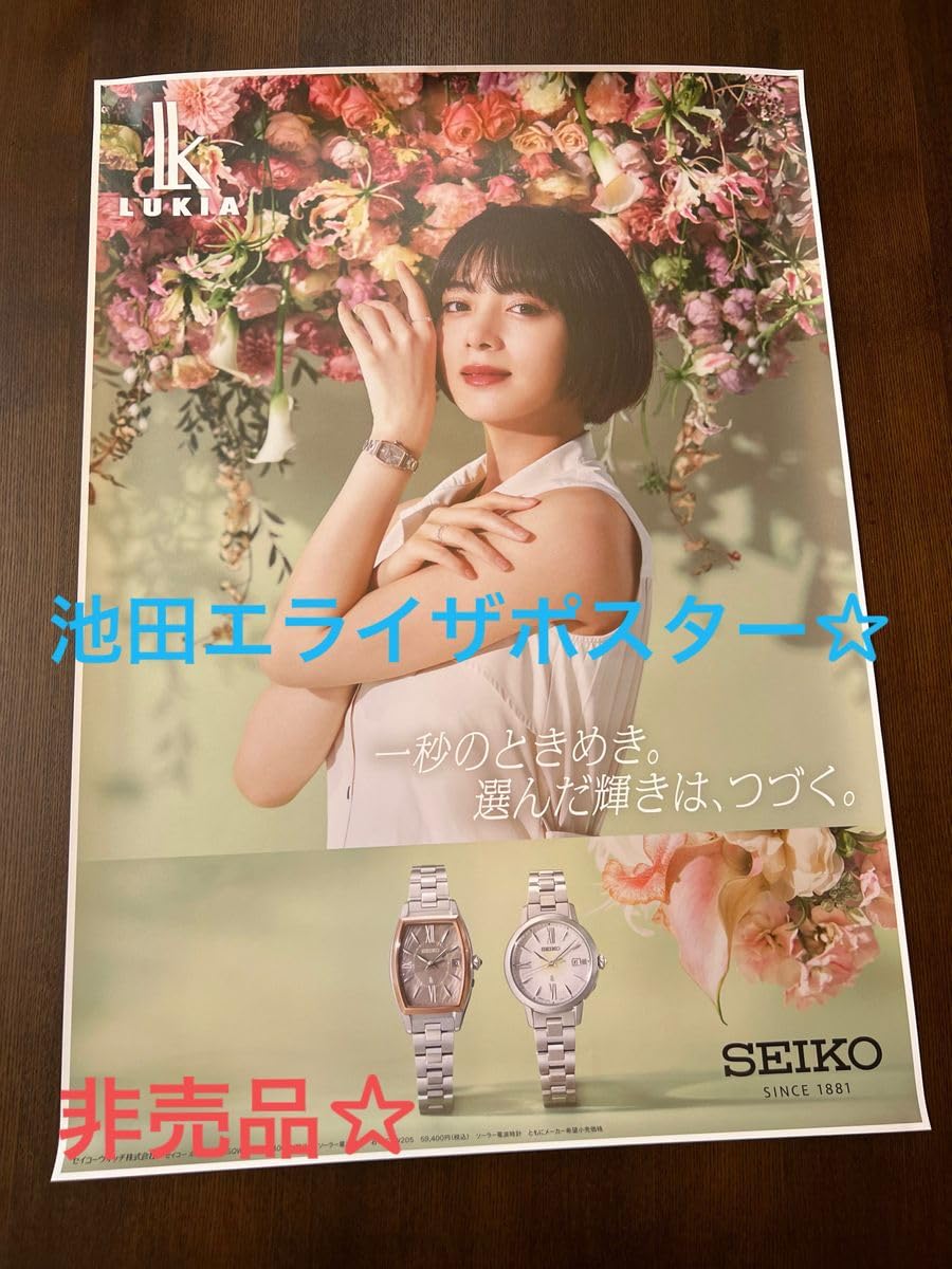 非売品 池田イライザ パネル