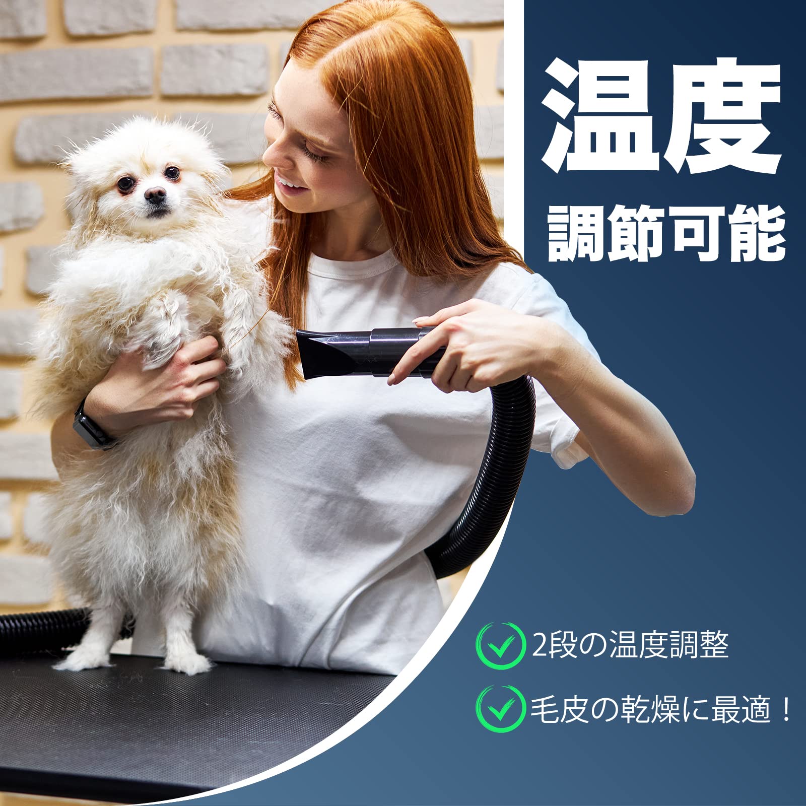 高速プロフェッショナル 猫犬ペット用 グルーミングヘアードライヤー ブロワー Amazon.co.jp: 高速プロフェッショナル 猫犬ペット用