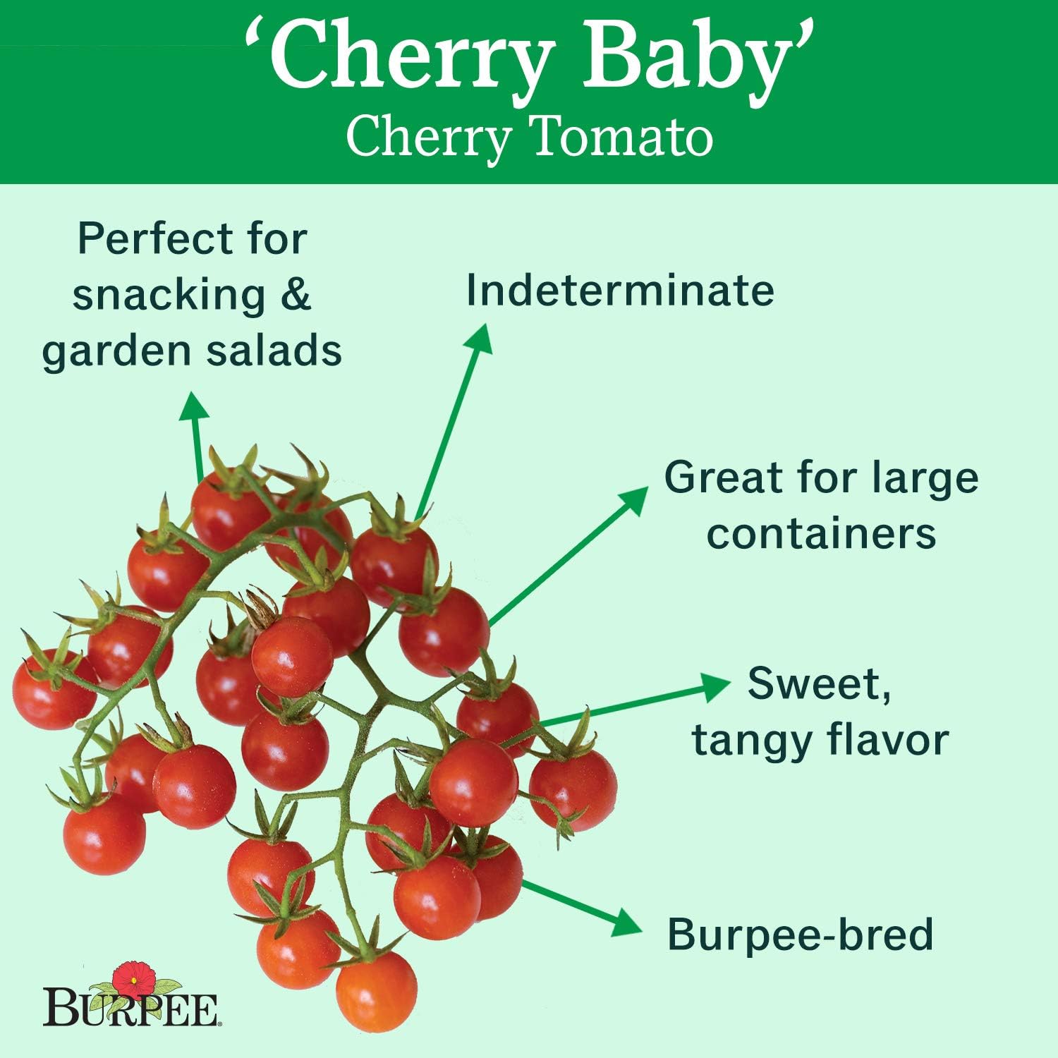 Burpee 'Cherry Baby' Hybrid |Red Cherry Tomato Tomato | 25 Seeds : Patio, Lawn & Garden