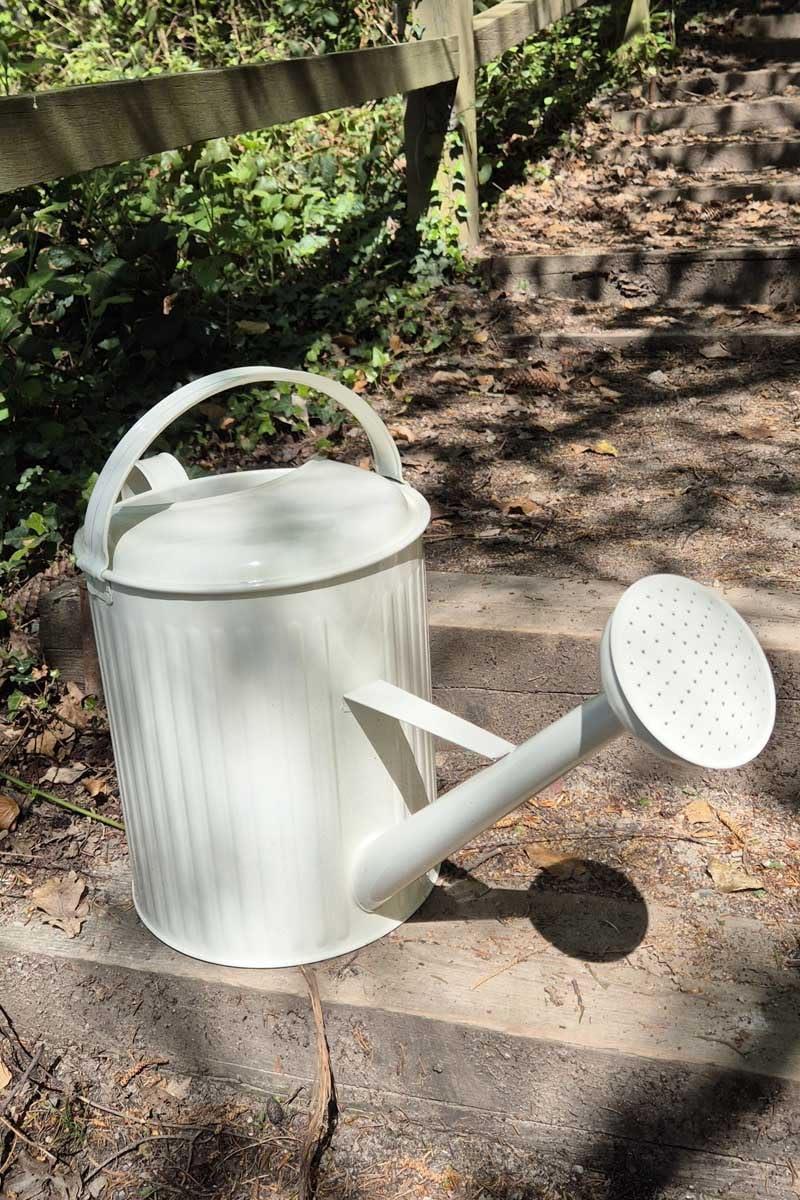 Gießkanne Flora 10 Liter - versch. Farben