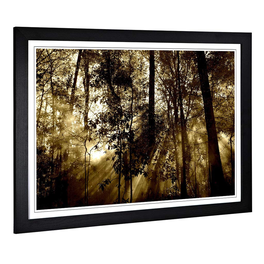 Big Box Art Framed Print of Sunlight Forest Woodland Design | Wall Art Picture | Home Decor for Kitchen, Living, Dining Room, Bedroom, Hallway, Office, Black, A2 / 24.5x18 Inch / 62x45cm