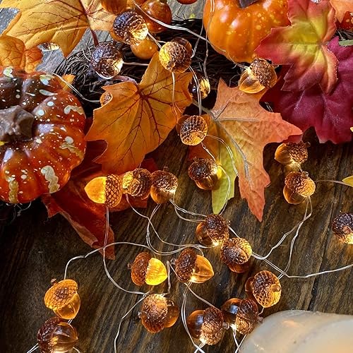 Miniatura 6 de JASHIKA Guirnalda de luces 3D Twinkle Bellota para decoración de otoño, alambre de cobre de 10 pies, 30 luces LED alimentadas por pilas con