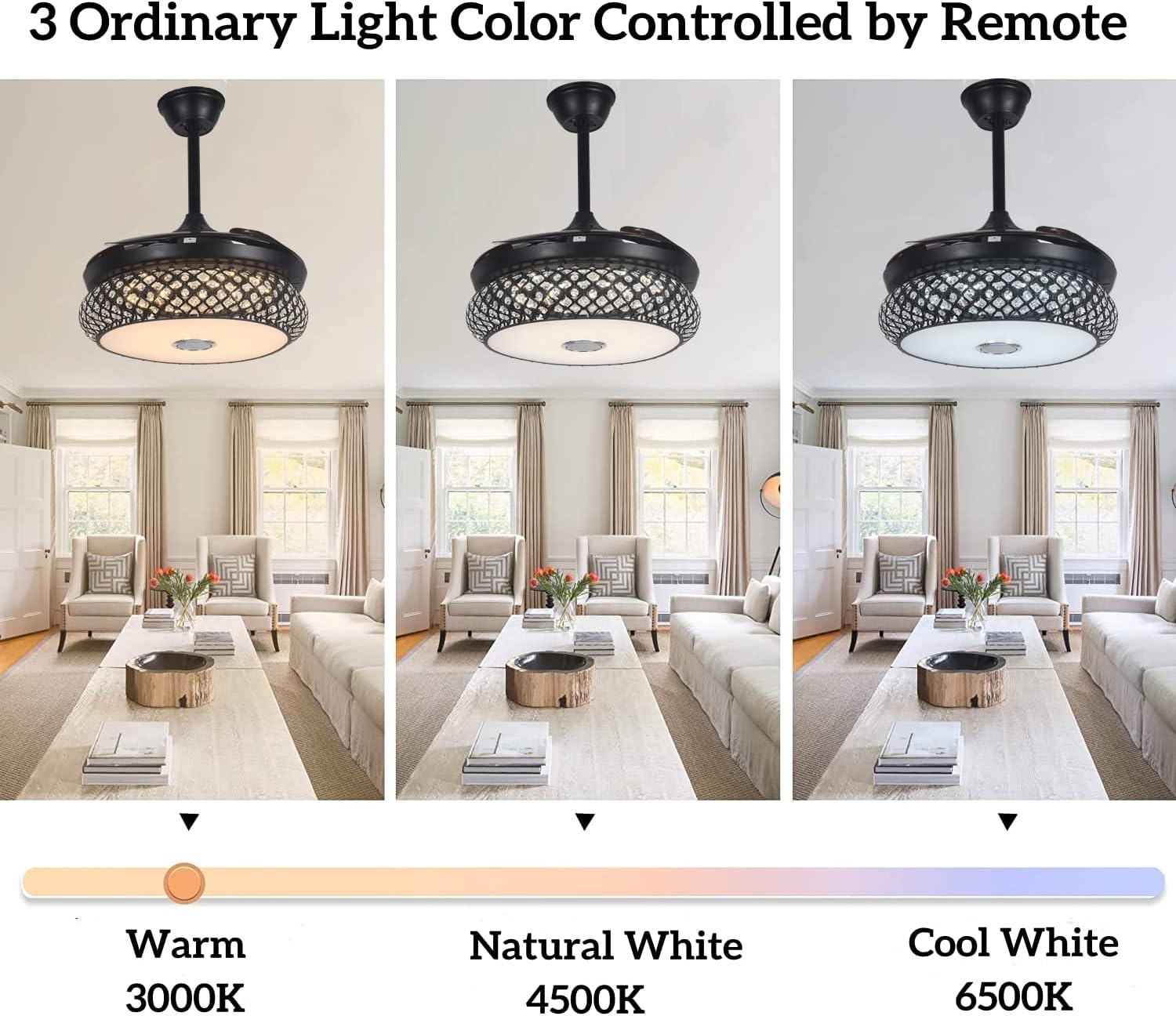 FANEPRO Smart Ceiling Fan remote control functions